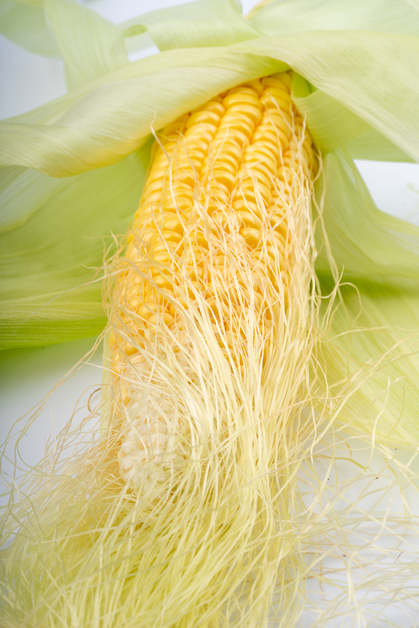 云南大理农业学校食品生物工艺专业怎么样