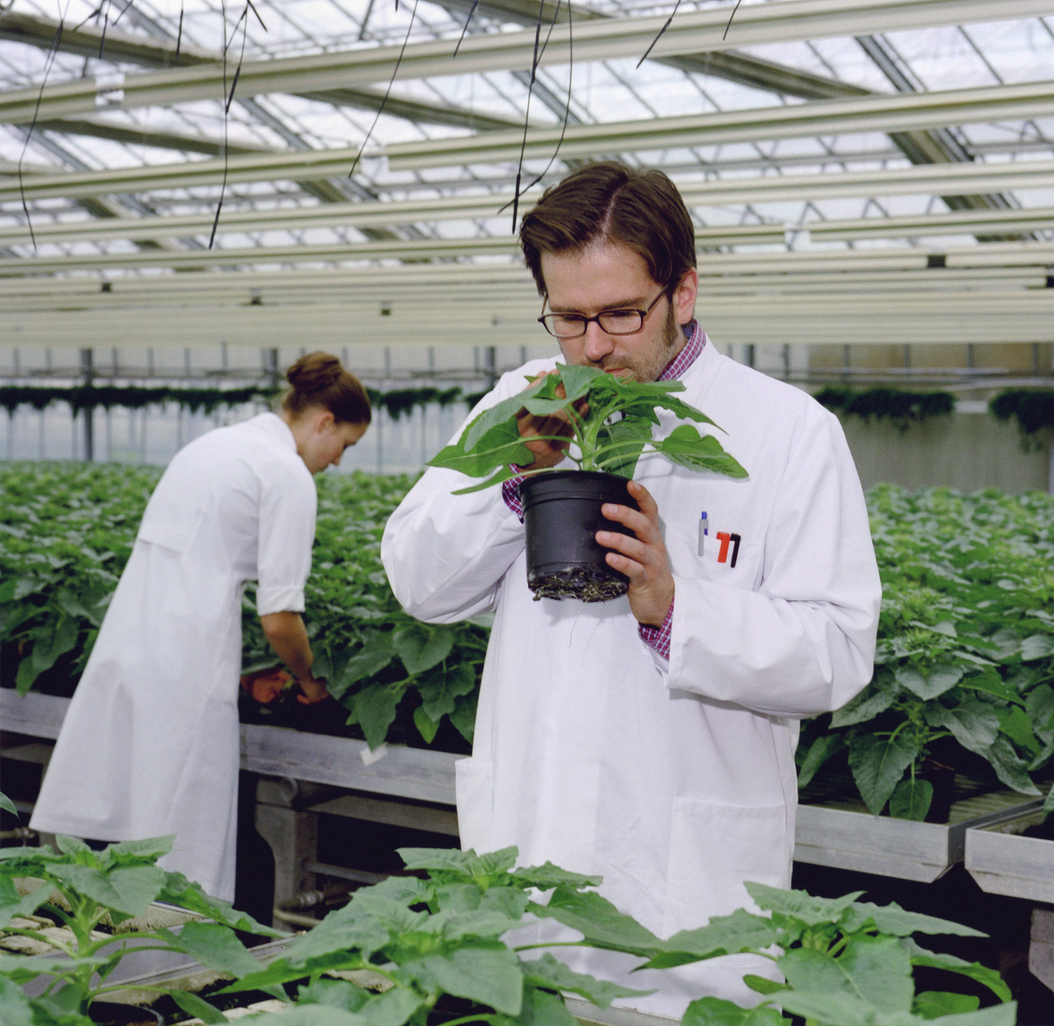 辽宁林业职业技术学院单招药剂专业怎么样？值得报考吗？