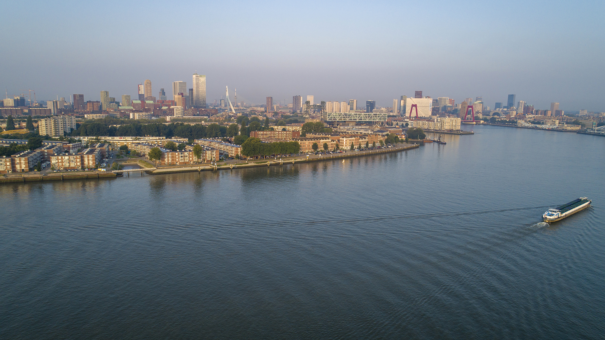 rotterdam skyline with erasmus brug bridge at sunset in morning 
