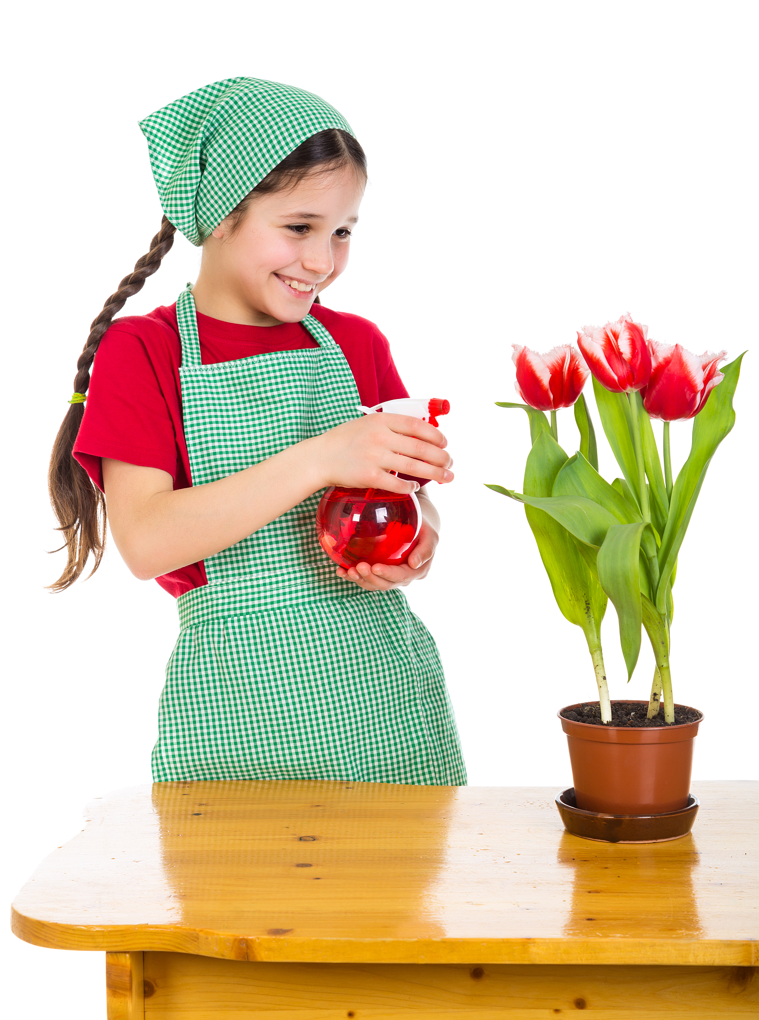 girl watering a flowers on the desk