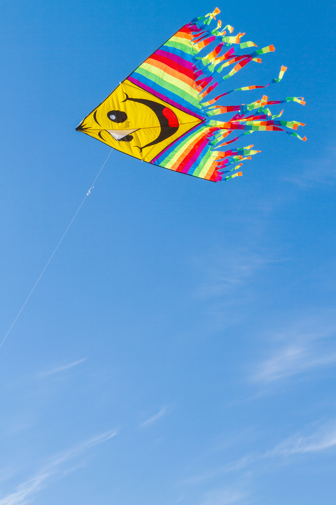 a fun and bright flying kite in the blue sky
