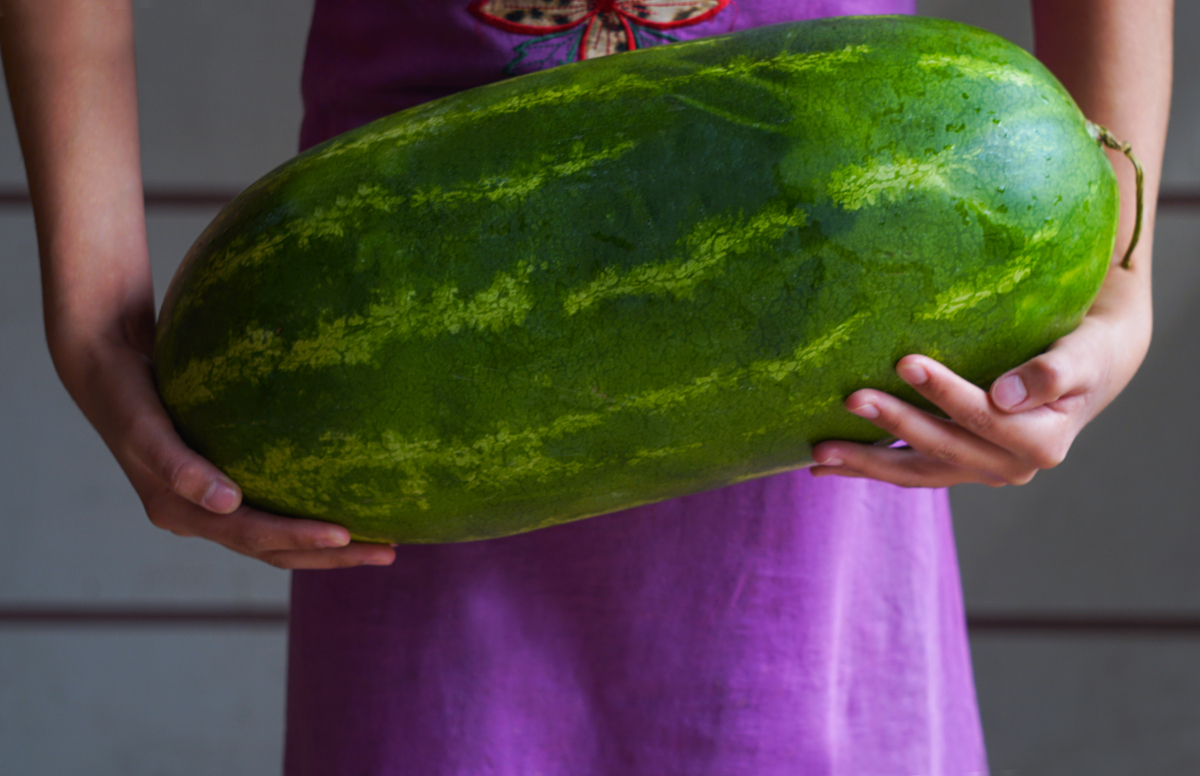 郝哥甜瓜：皮绿肉红，一口香甜！