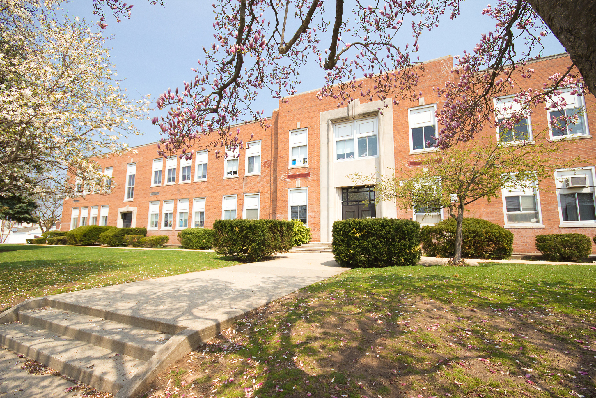 elementary school