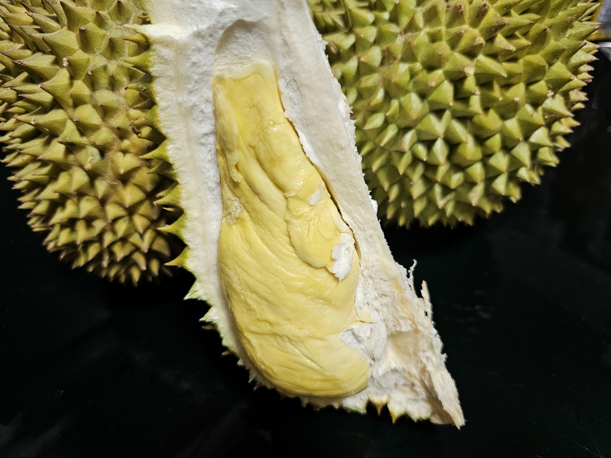 榴莲酸了还能吃吗？吃了会有什么后果？