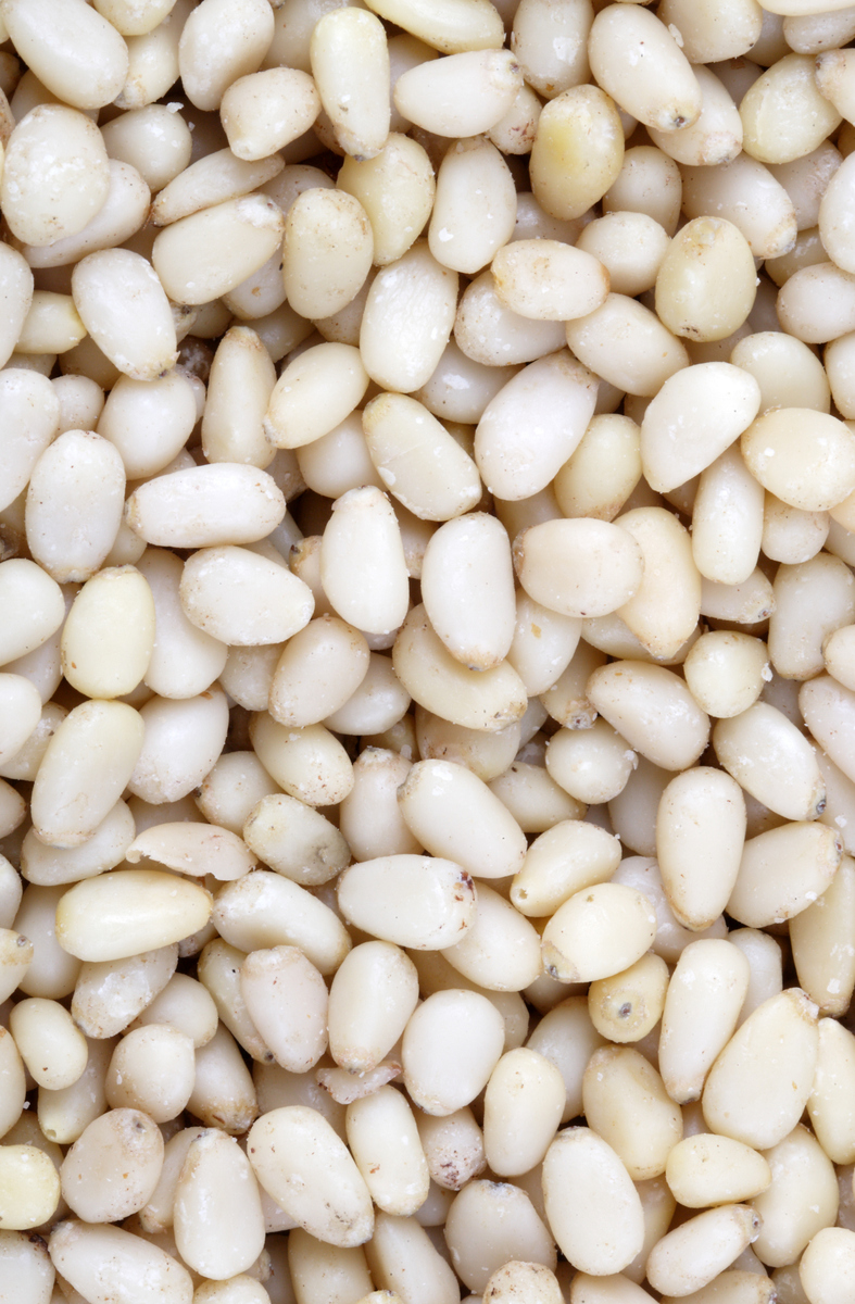 中草药课程趣味名称