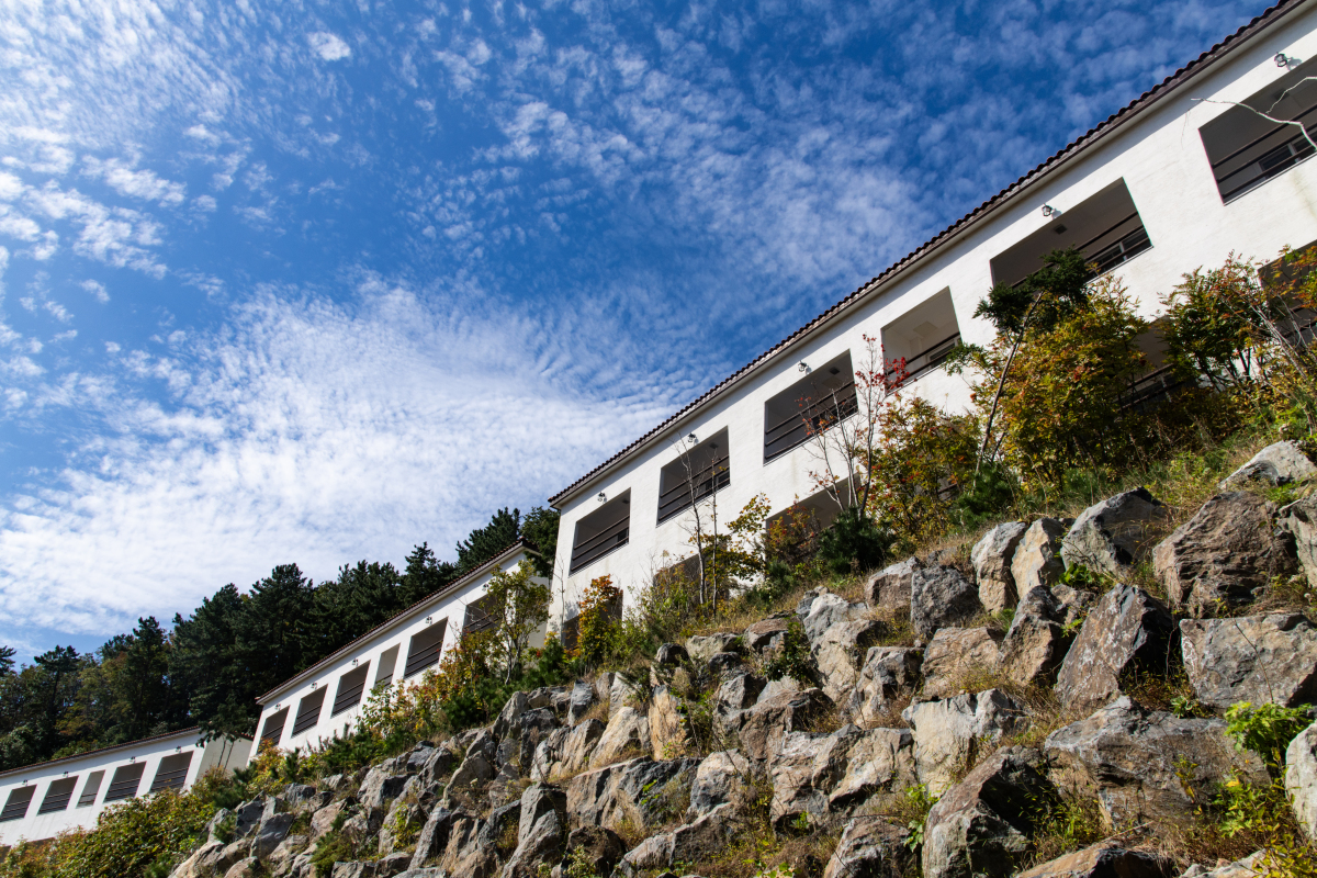 千岛湖湖畔风情民宿设计 | 舒适时尚自然空间