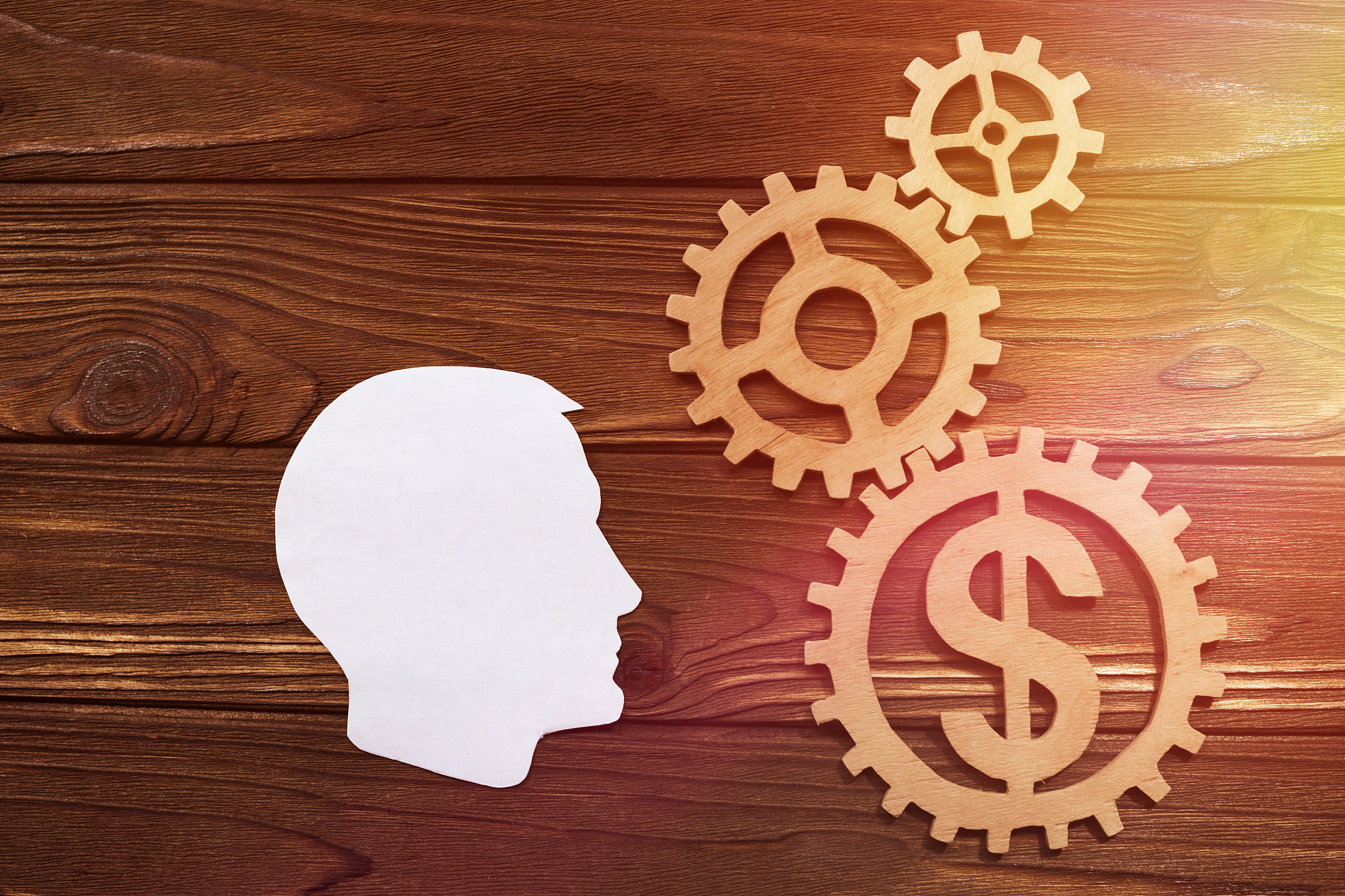 the silhouette of a human head made of paper, wooden gears on th