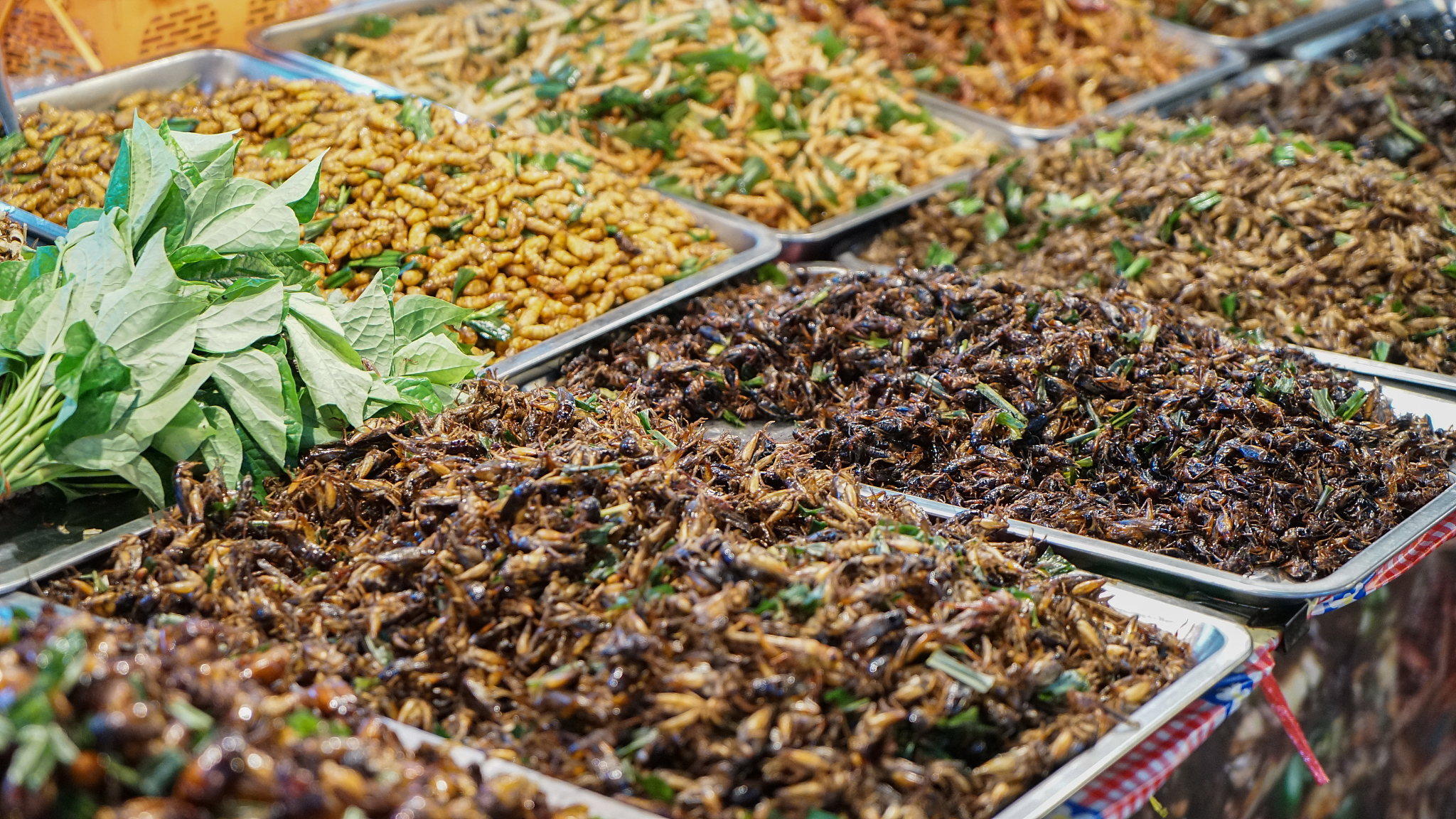 写一份一位顾客在您餐厅的食物中发现一只蟑螂。 并发布在社交媒体上。。 简短