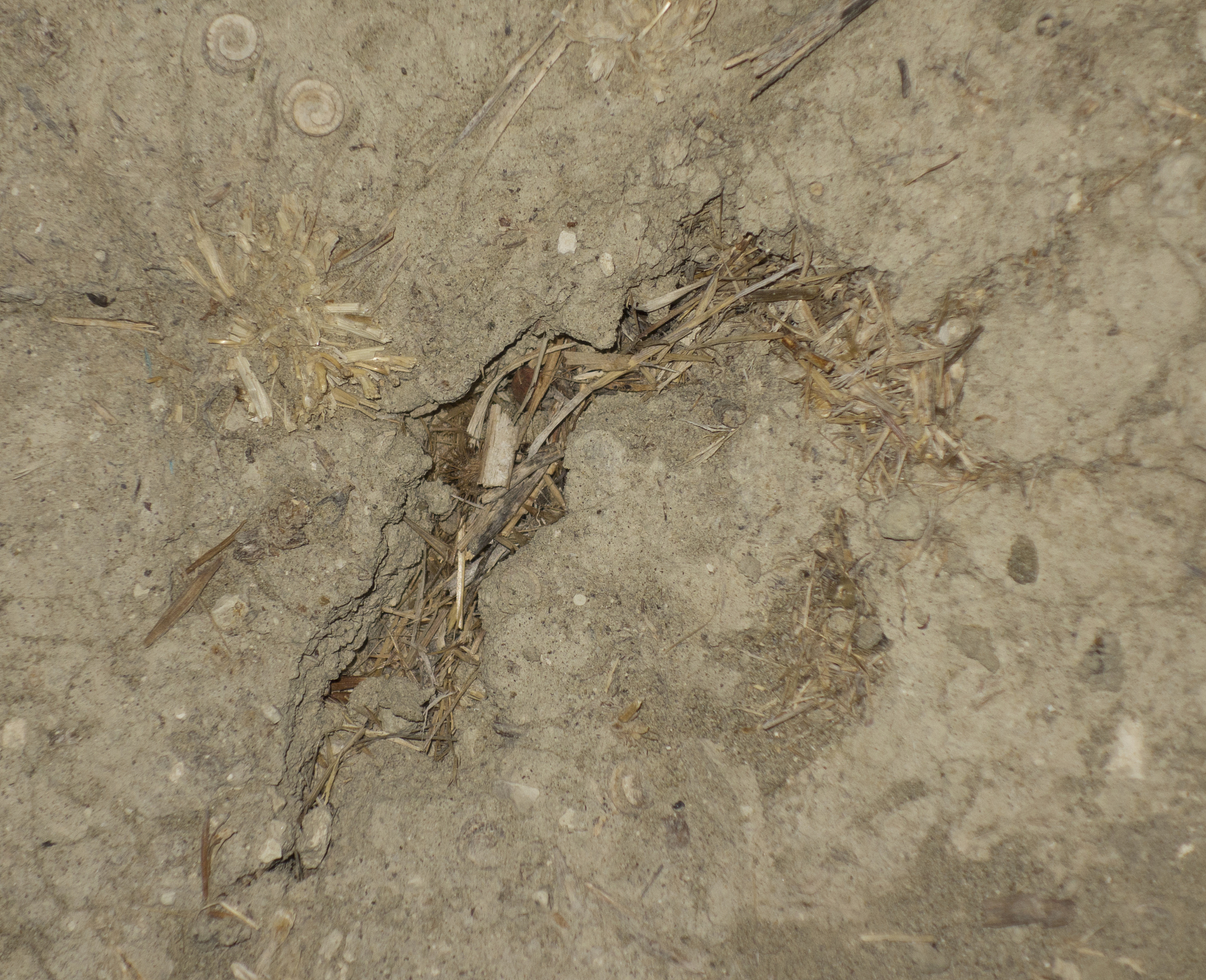 小白兔的预警：蚂蚁如何应对暴风雨