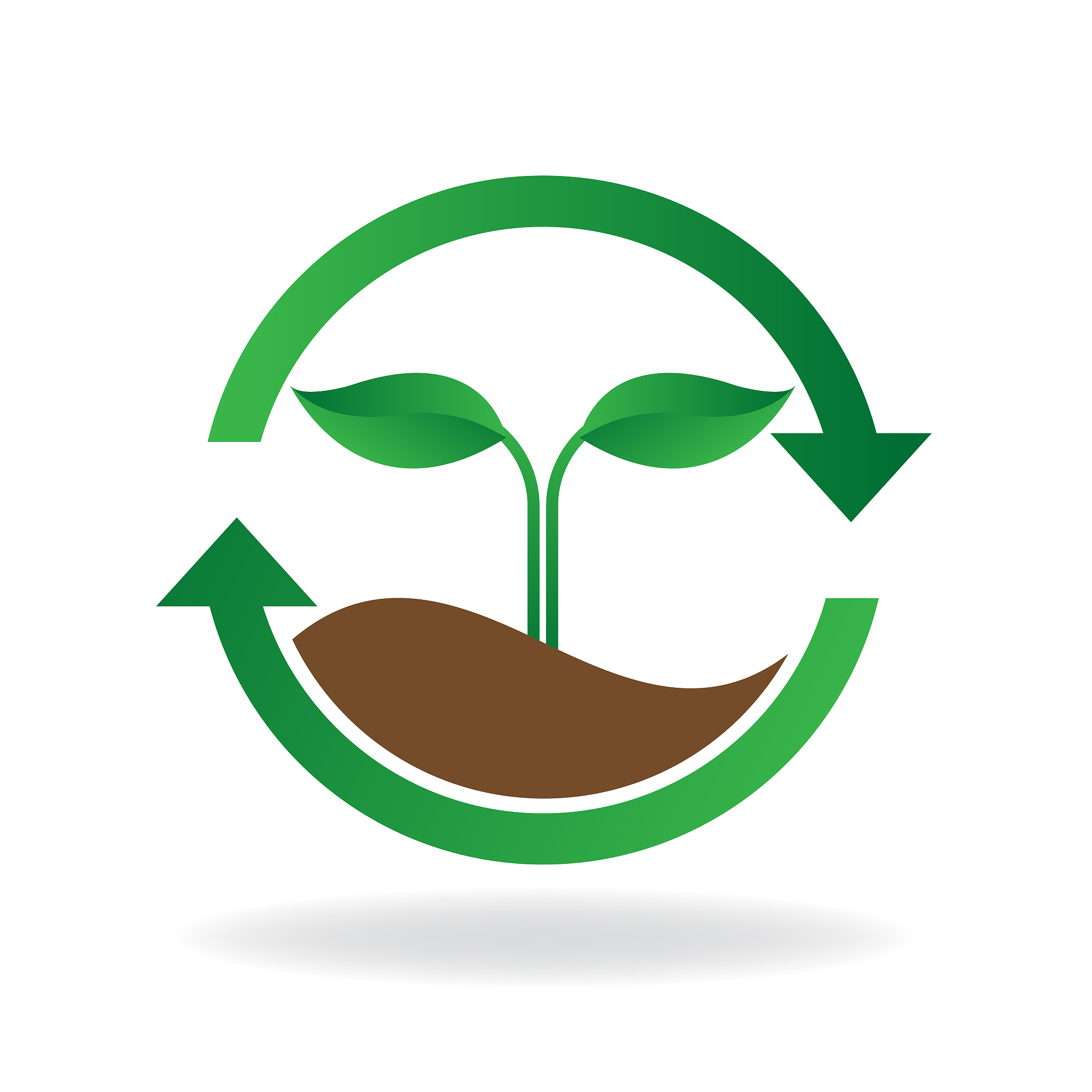 eco friendly