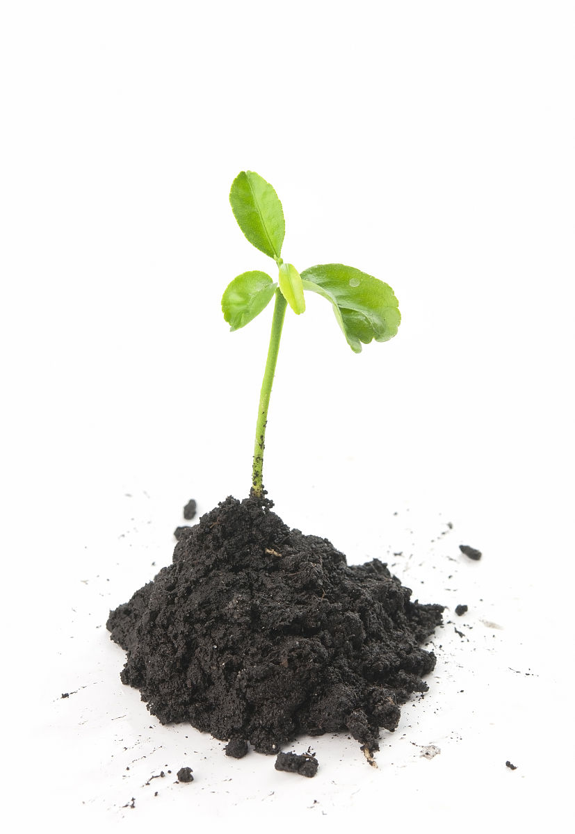 COMMUNICATIONS IN SOIL SCIENCE AND PLANT ANALYSIS期刊推荐理由？