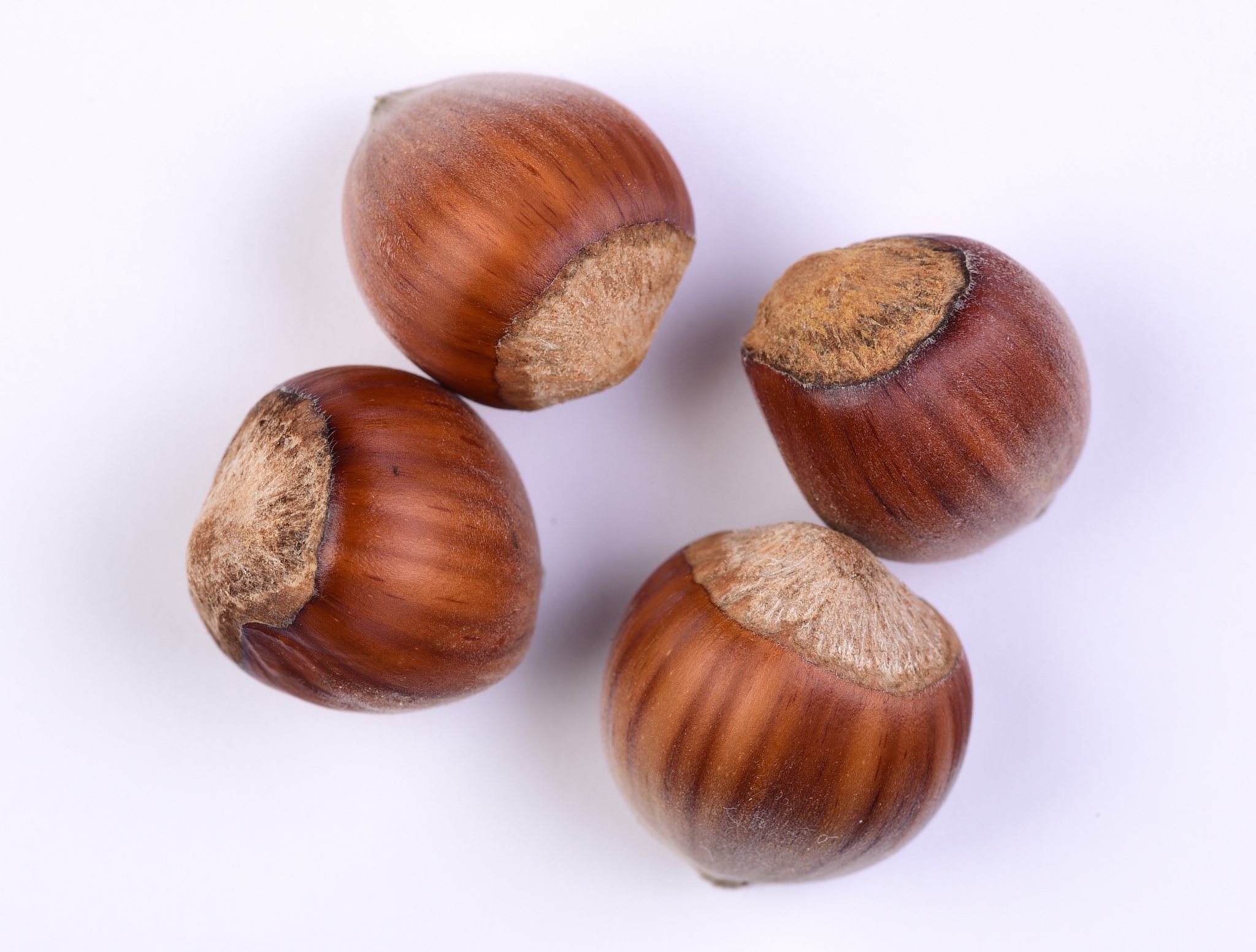 close-up four hazelnuts