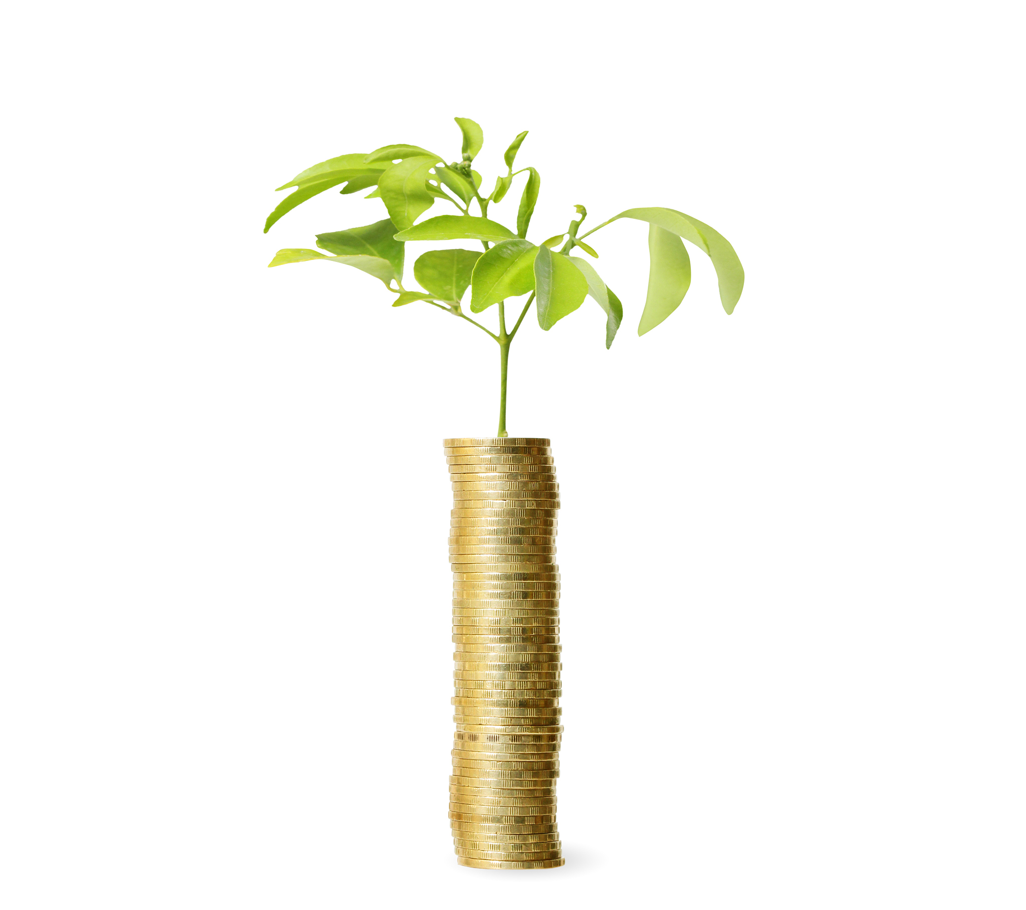 investment concept, coins  market