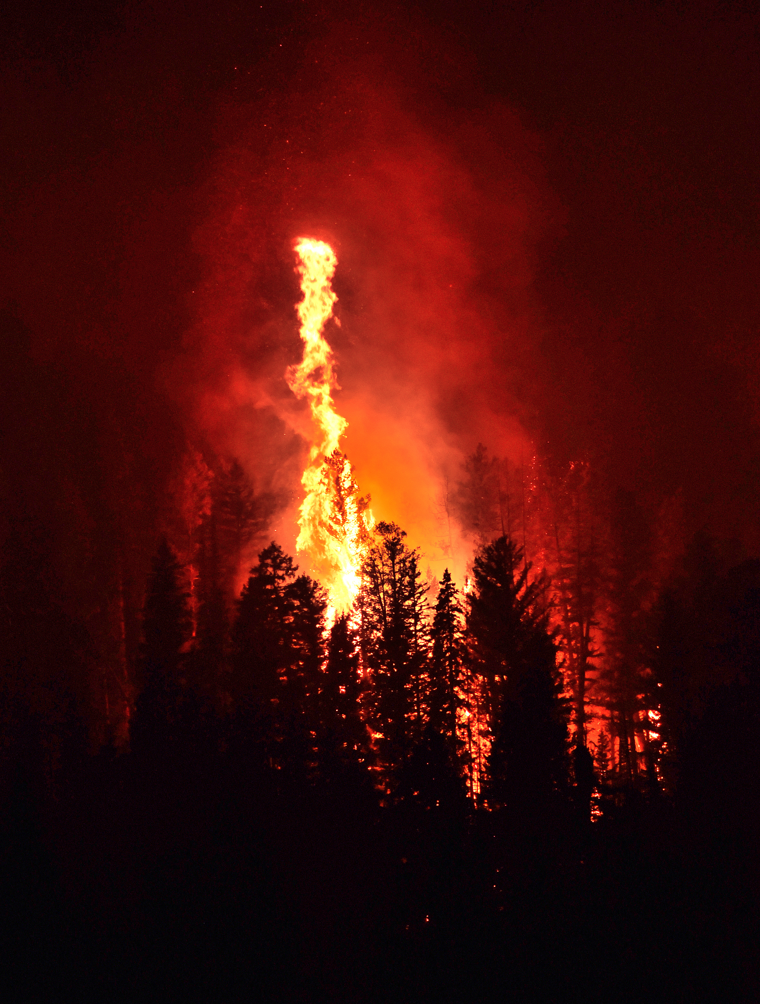 中美野火管理挑战：预测、适应性策略与风险应对