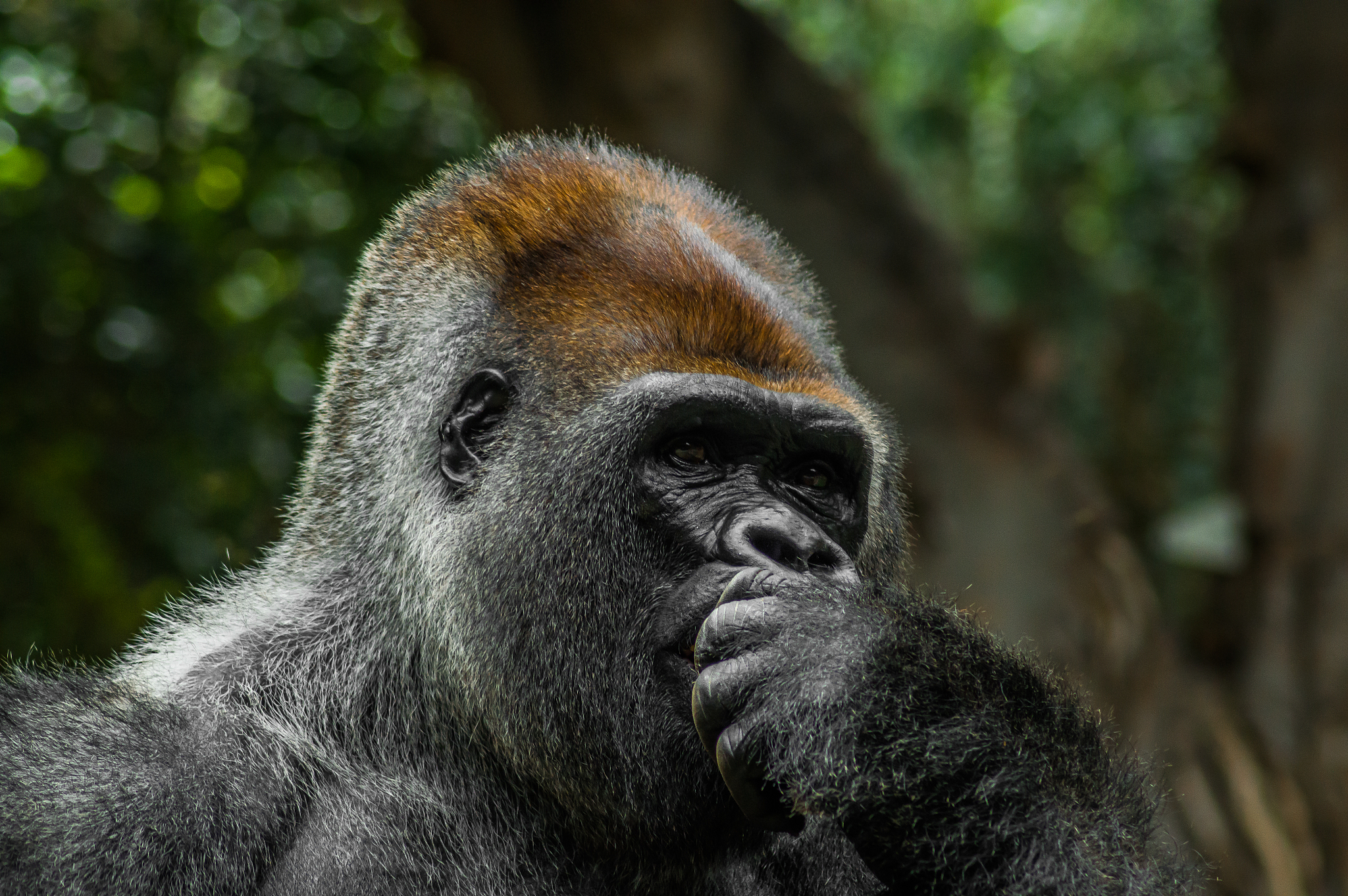 卡莎出装攻略：从新手到高手必备装备推荐