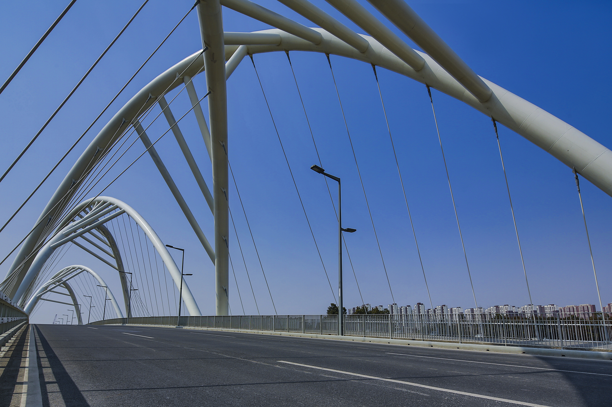 桥梁工程：设计、建设与社会影响