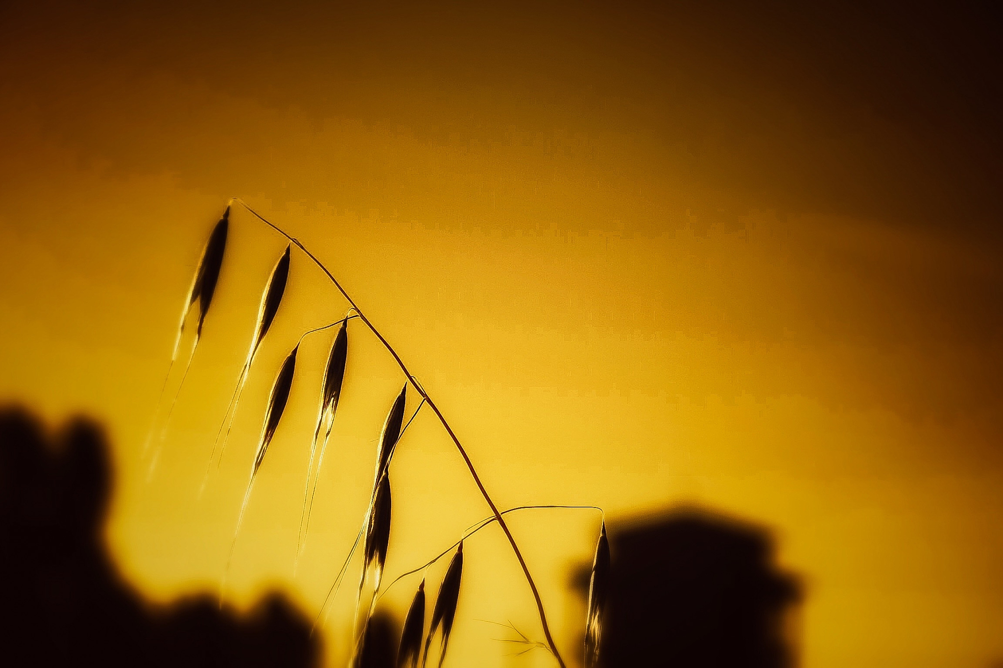 送别的寓意：告别与离别的深层含义