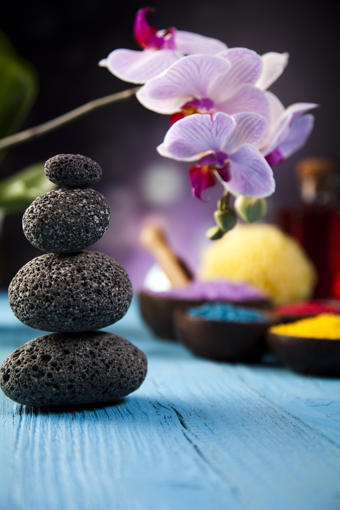 贵州医科大学神奇民族医药学院 食品卫生与营养学专业就业前景怎么样；：：；；