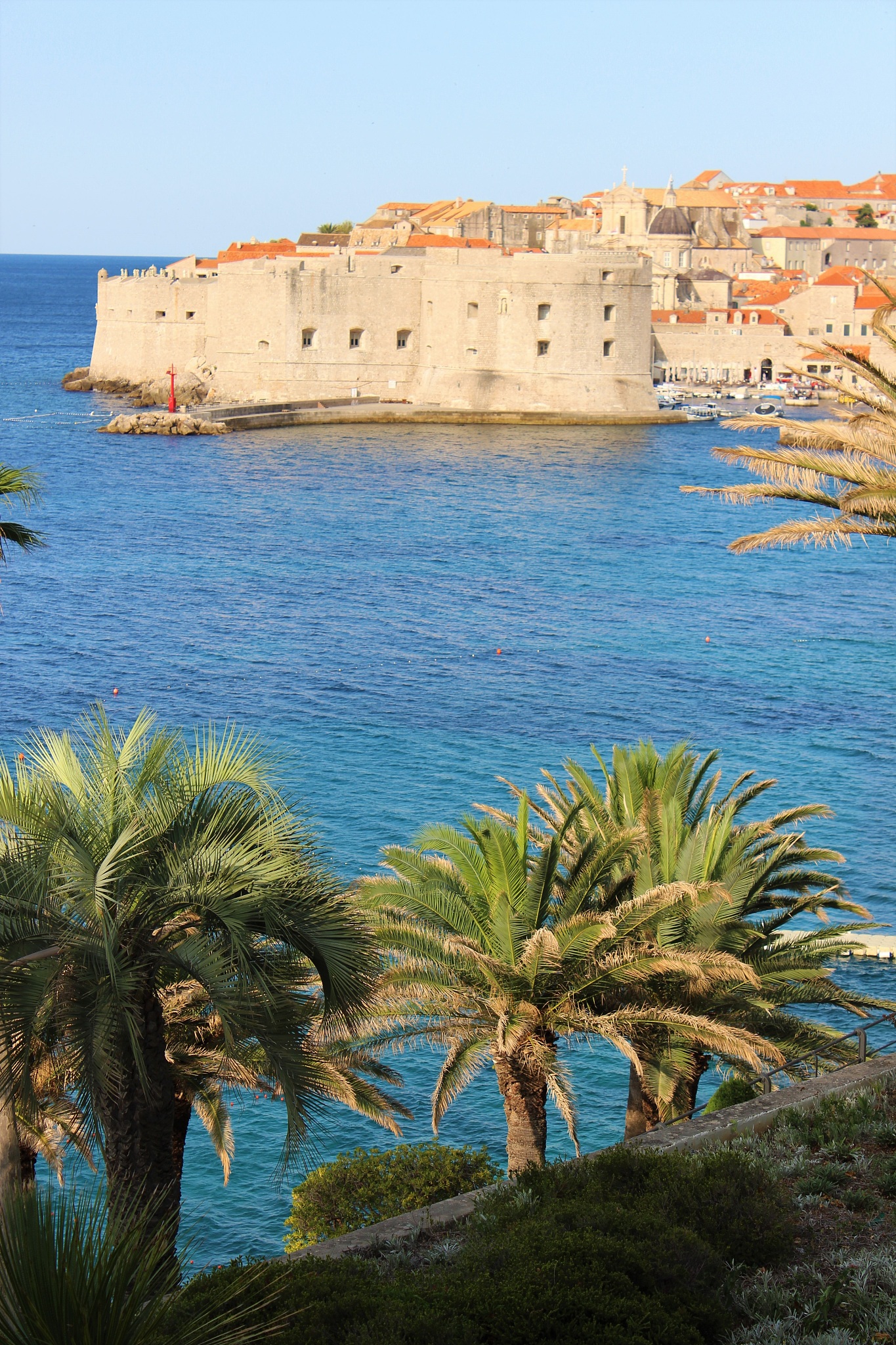 以摄影爱好者的角度写一篇1200字怎么才能快速学会摄影？的文章