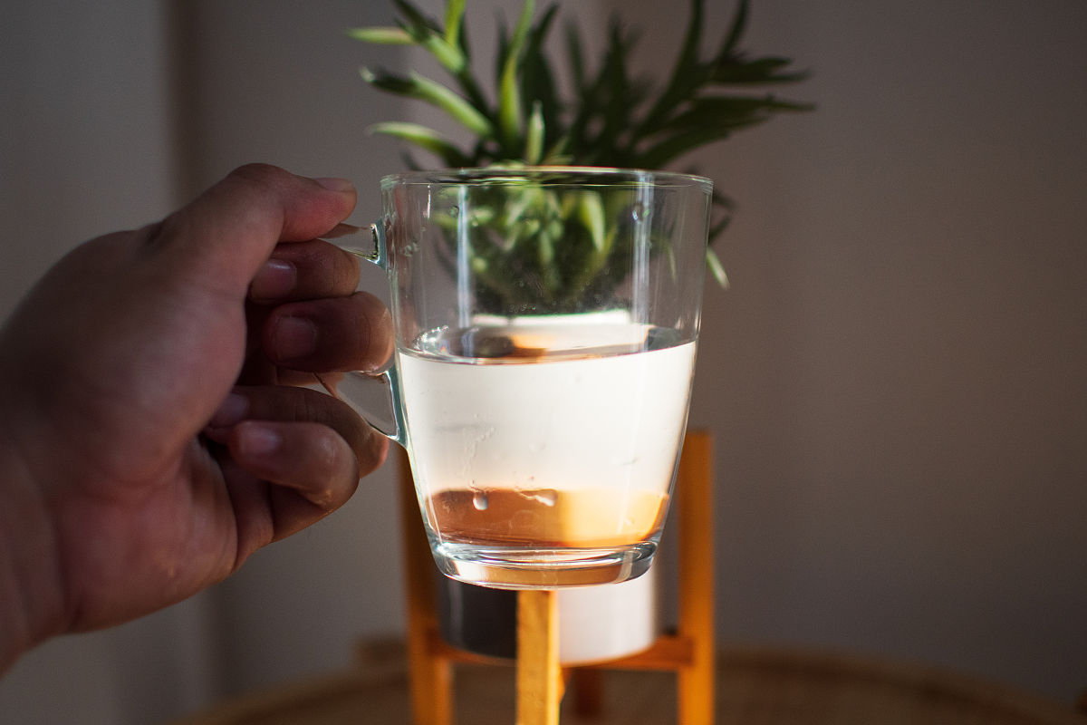 冷泡茶 魔性广告