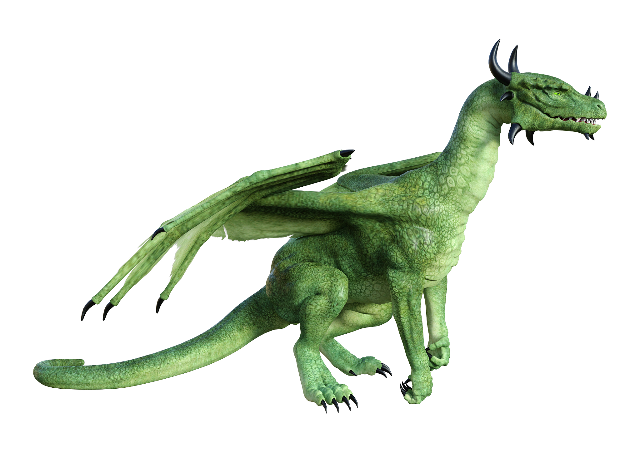 3d illustration fantasy dragon on white