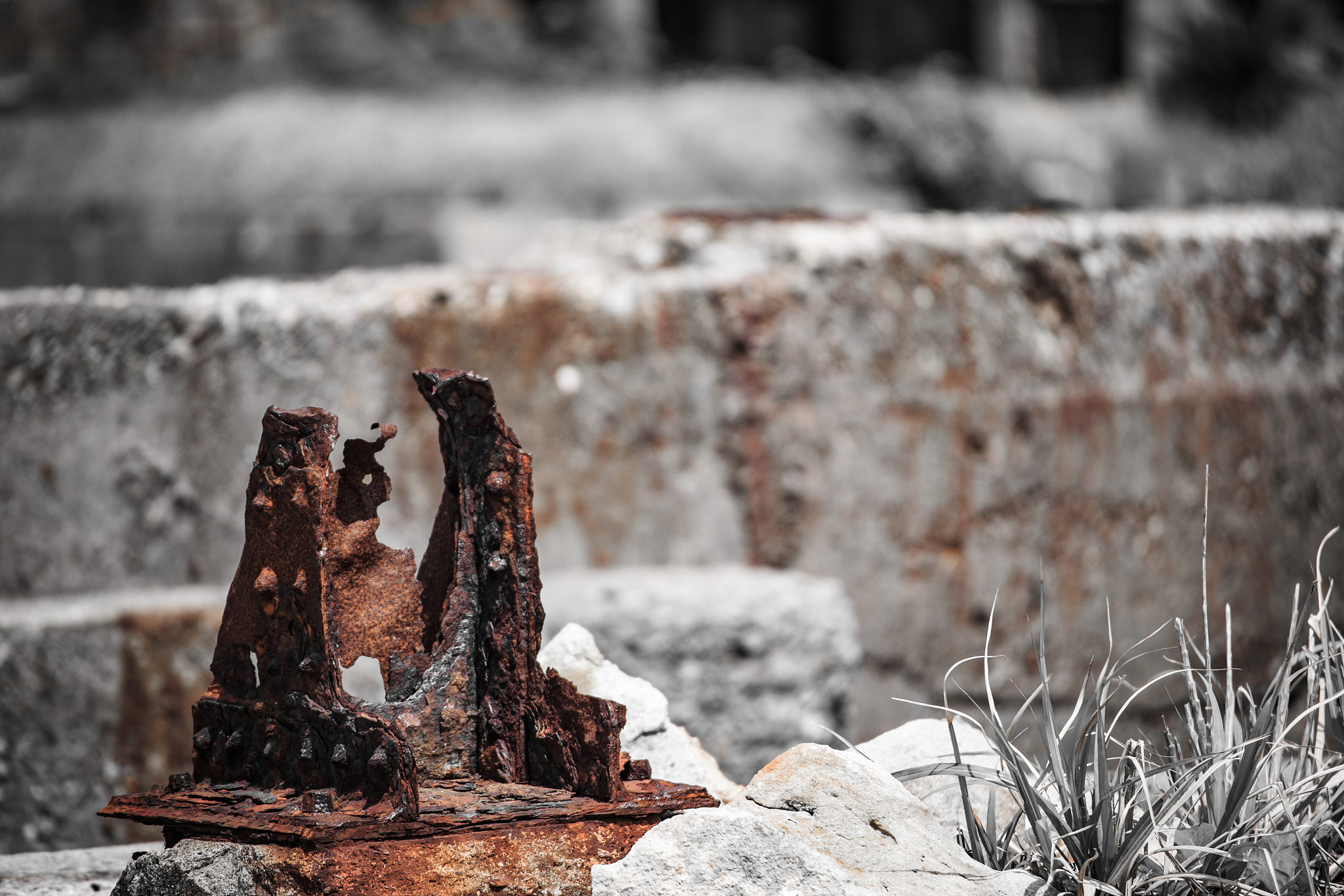 广东海洋大学旅游管理专业怎么样