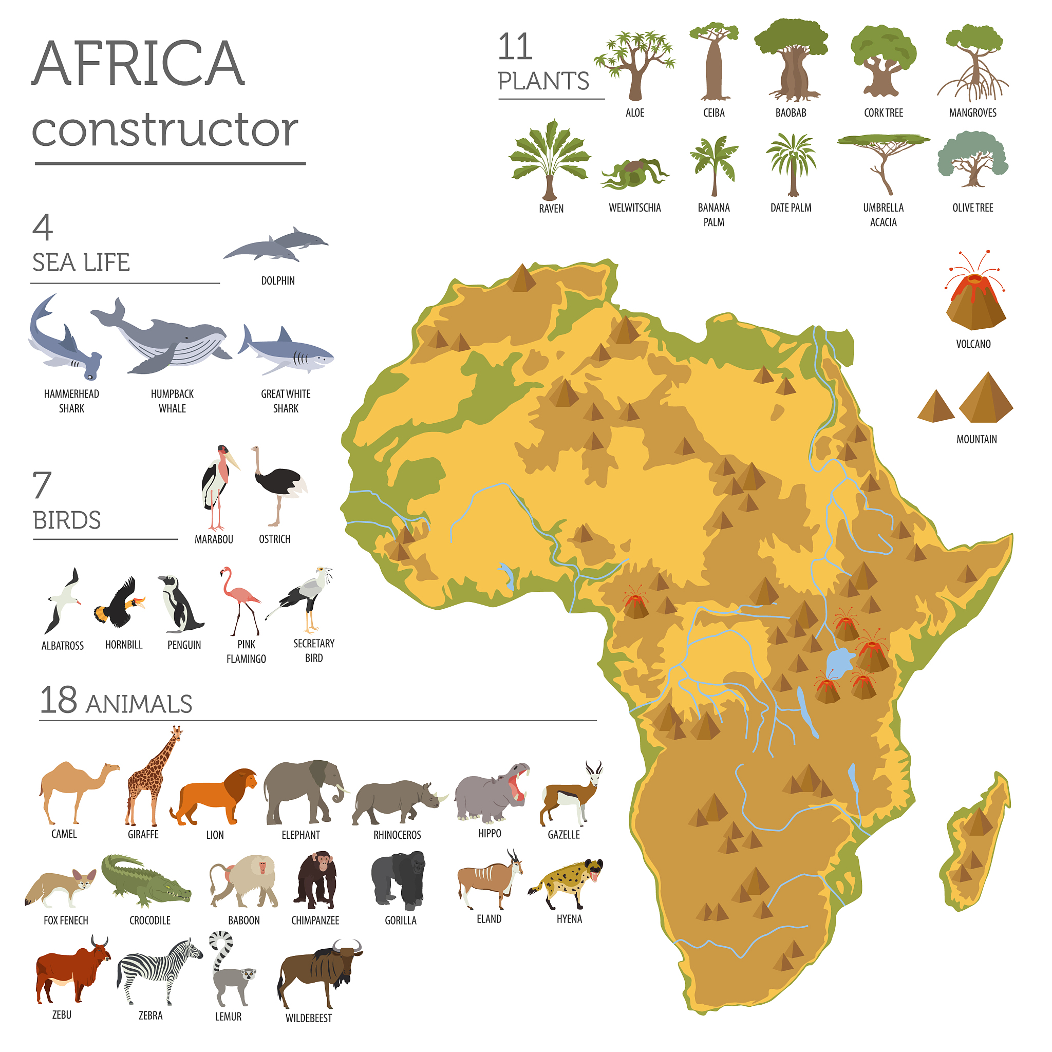 flat africa flora and fauna map constructor