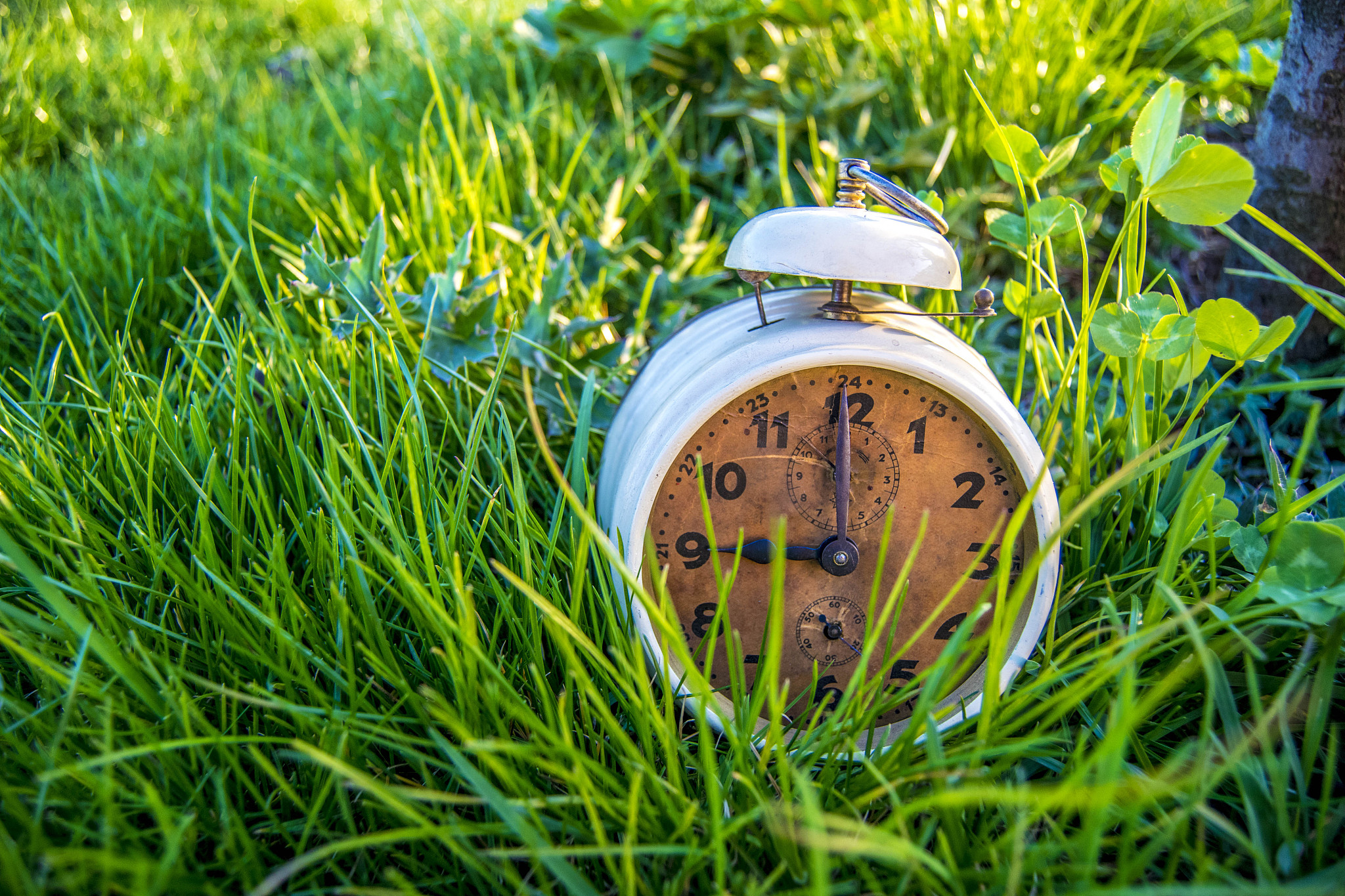 如何平衡学习与生活，不错过身边的美景？