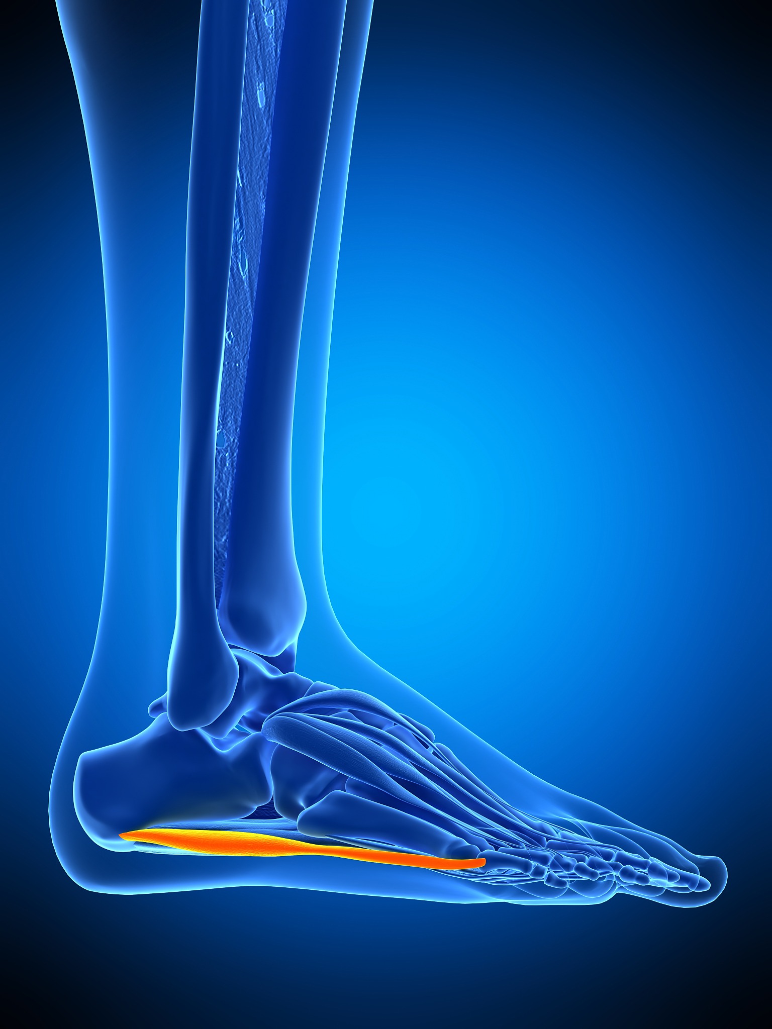 Gould改良技术：伸肌下支持带重建踝关节外侧稳定性