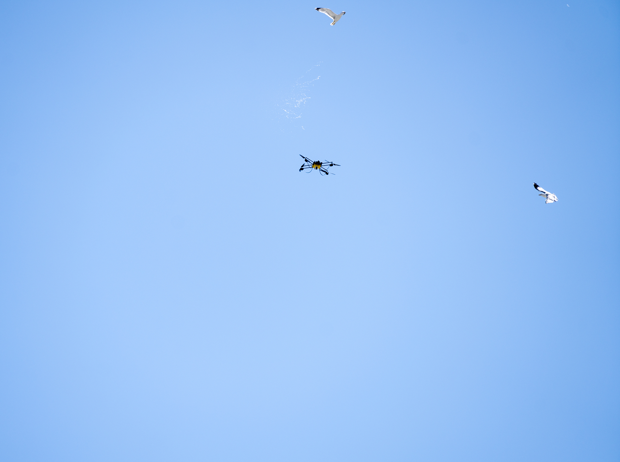 基于无人机的水环境自主检测系统项目书项目的难点重点