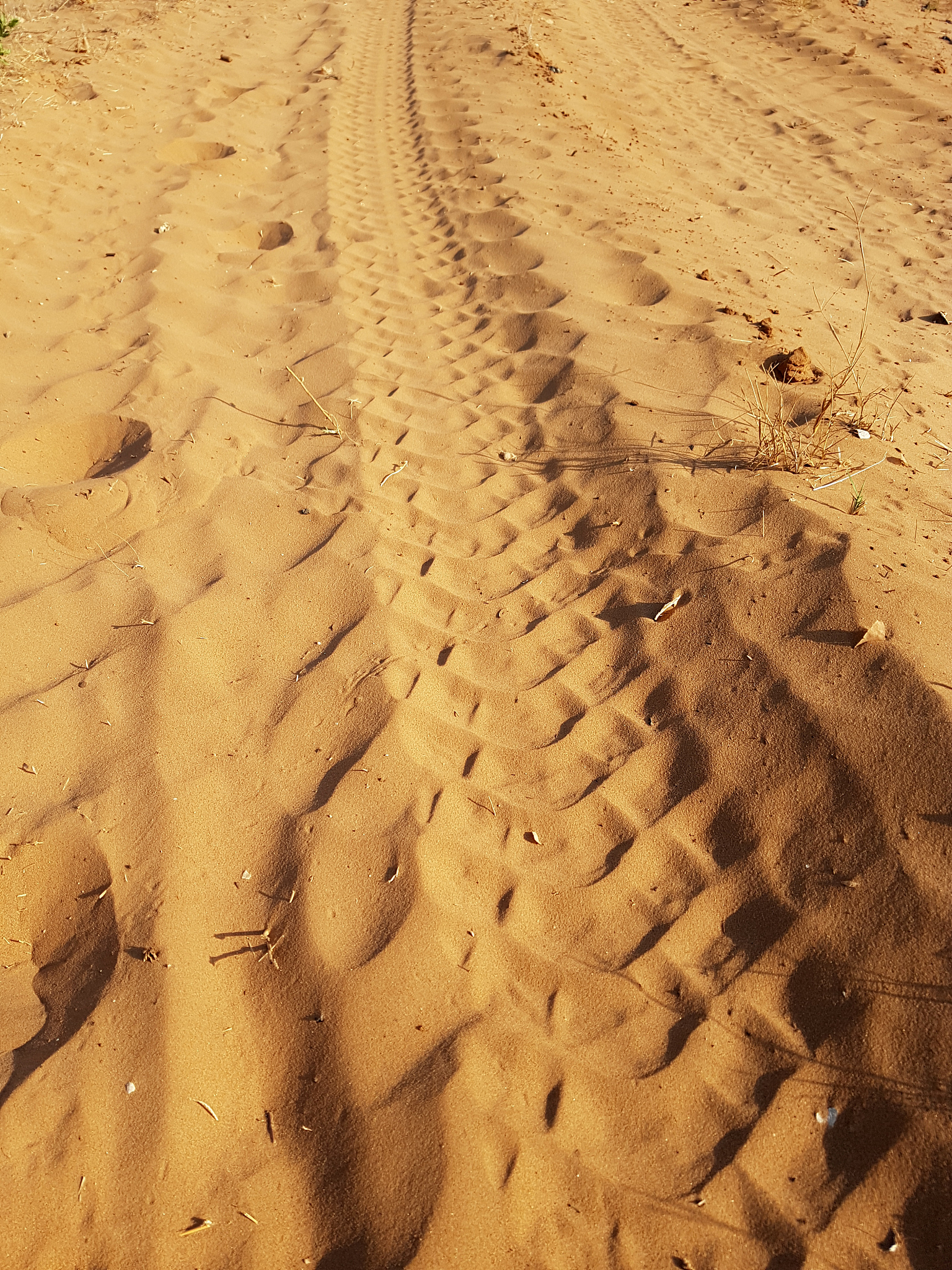 tire track imprints on the dirt road, full frame