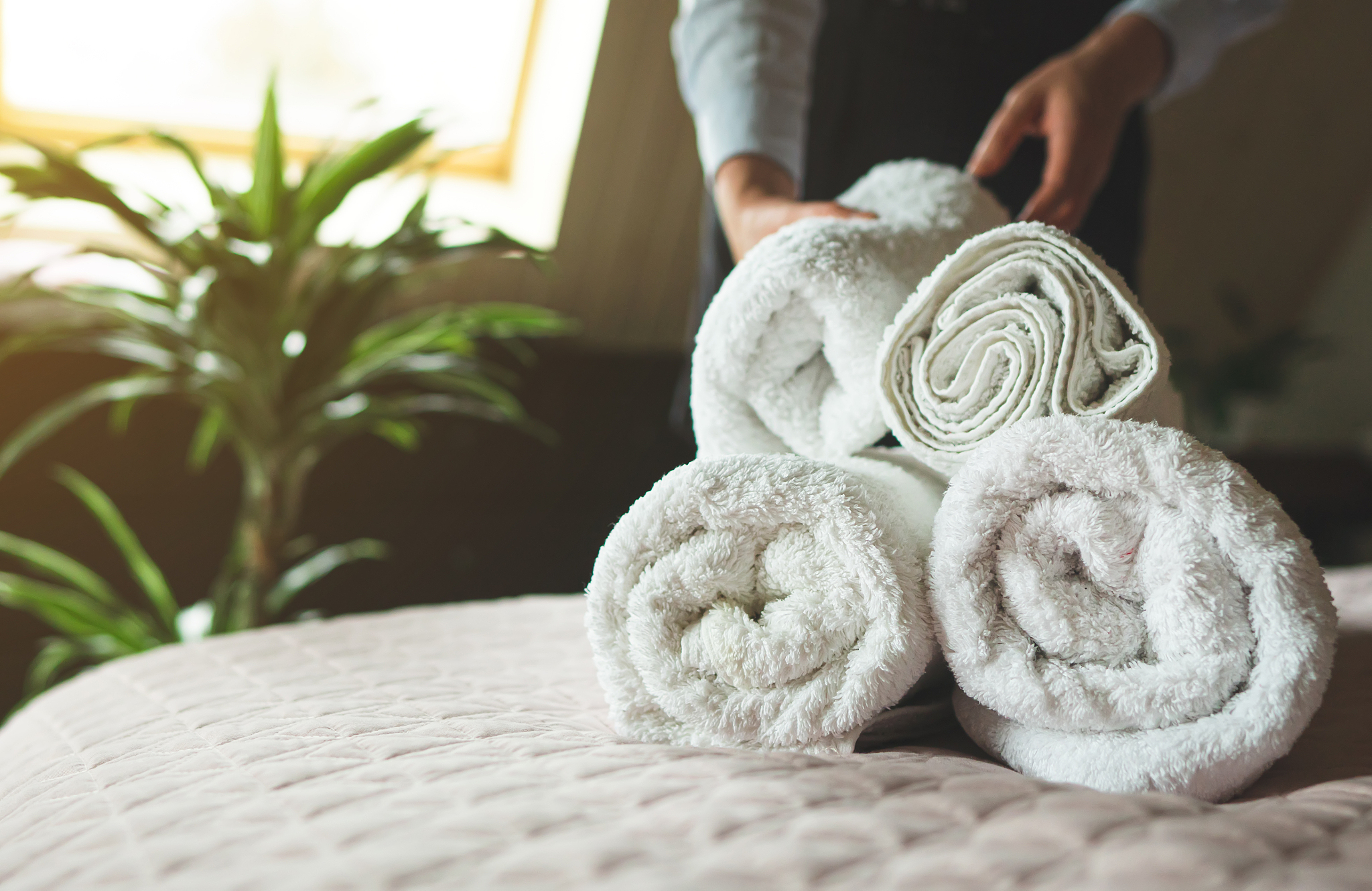 room service. woman changing towels in hotel room.