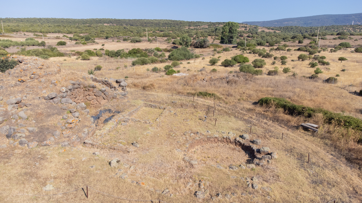 农村土地纠纷怎么办？权威部门帮您解决