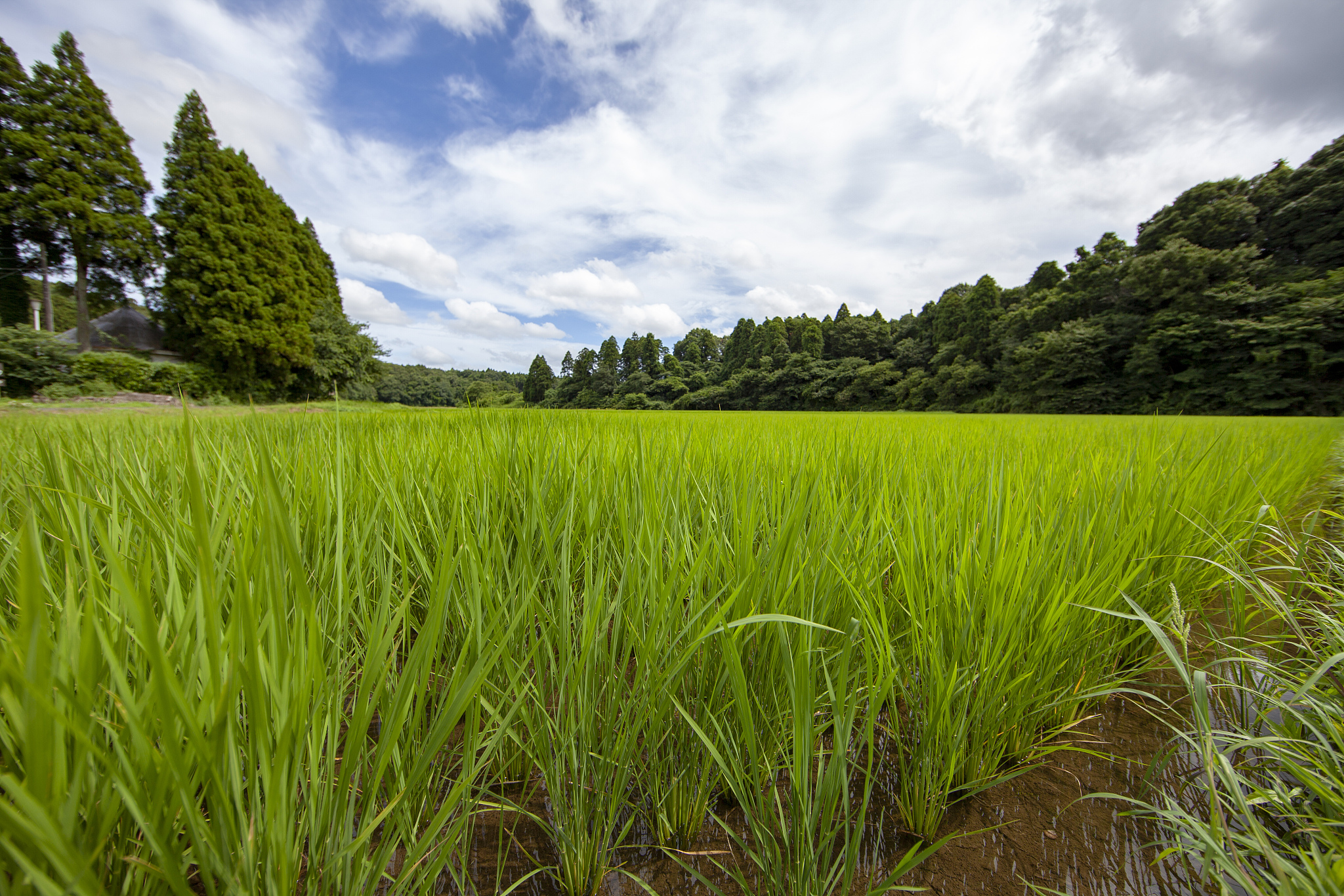 广西农业职业技术学院市场营销专业专业就业方向有哪些