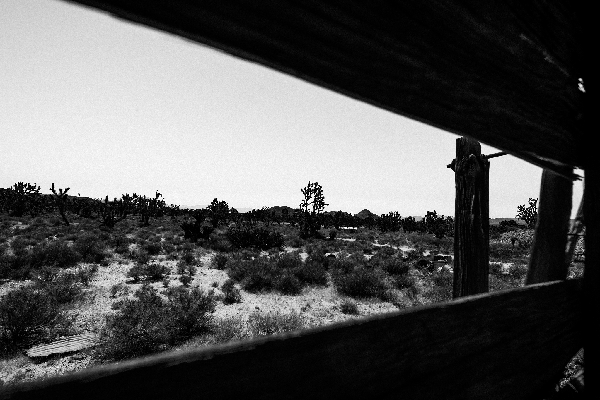 📸 20个摄影技巧助你拍出惊艳大片！摄影教程、器材推荐、后期指南