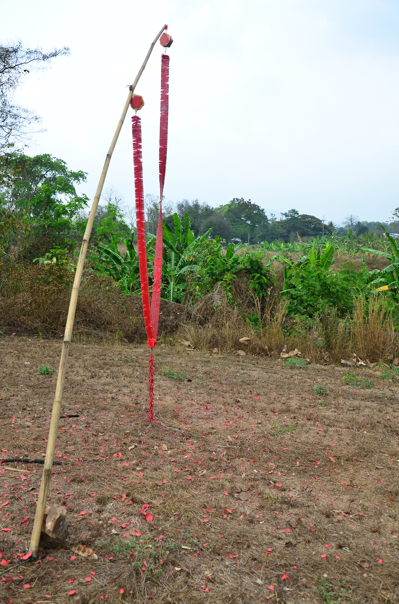 翻译为英语 清明节是中国传统节日之一通常在每年的4月4日左右是祭祖和扫墓的日子。以下是清明节的一些习俗：1 扫墓：清明节最重要的习俗之一人们会前往祖先的墓地扫墓、献花、祭拜表达对祖先的敬意和怀念。2 烧纸：烧纸是表达对逝者的敬意和祭奠的一种方式人们会烧香、烧纸钱等物品以示对逝者的尊重。3 踏青：清明节也是春天的季节人们会到郊外或公园游玩、踏青、野餐欣赏春天的美景。4 垂钓：垂钓是中国传统的清明节习