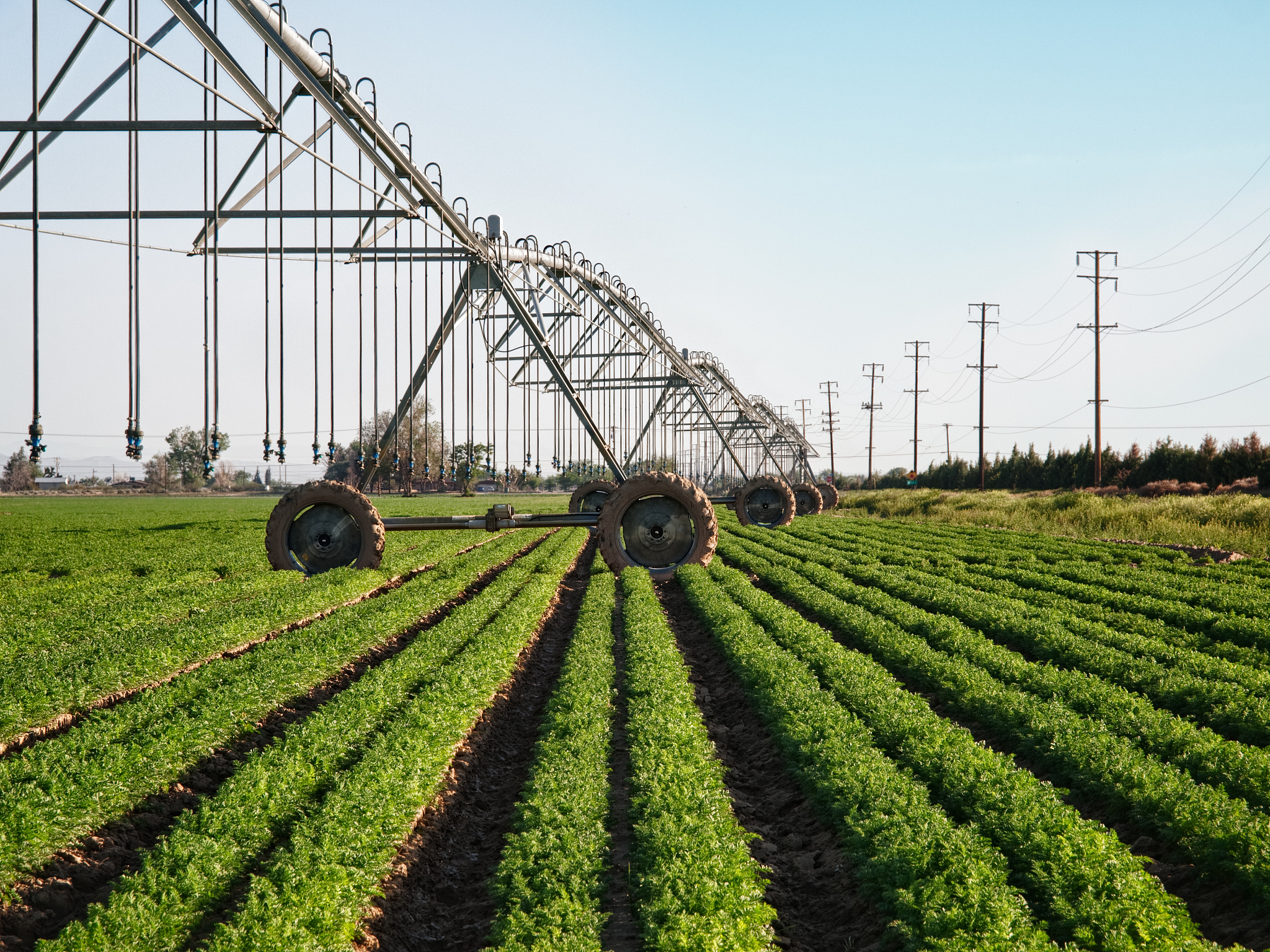 连云港生物工程中等专业学校现代农艺技术专业未来发展趋势