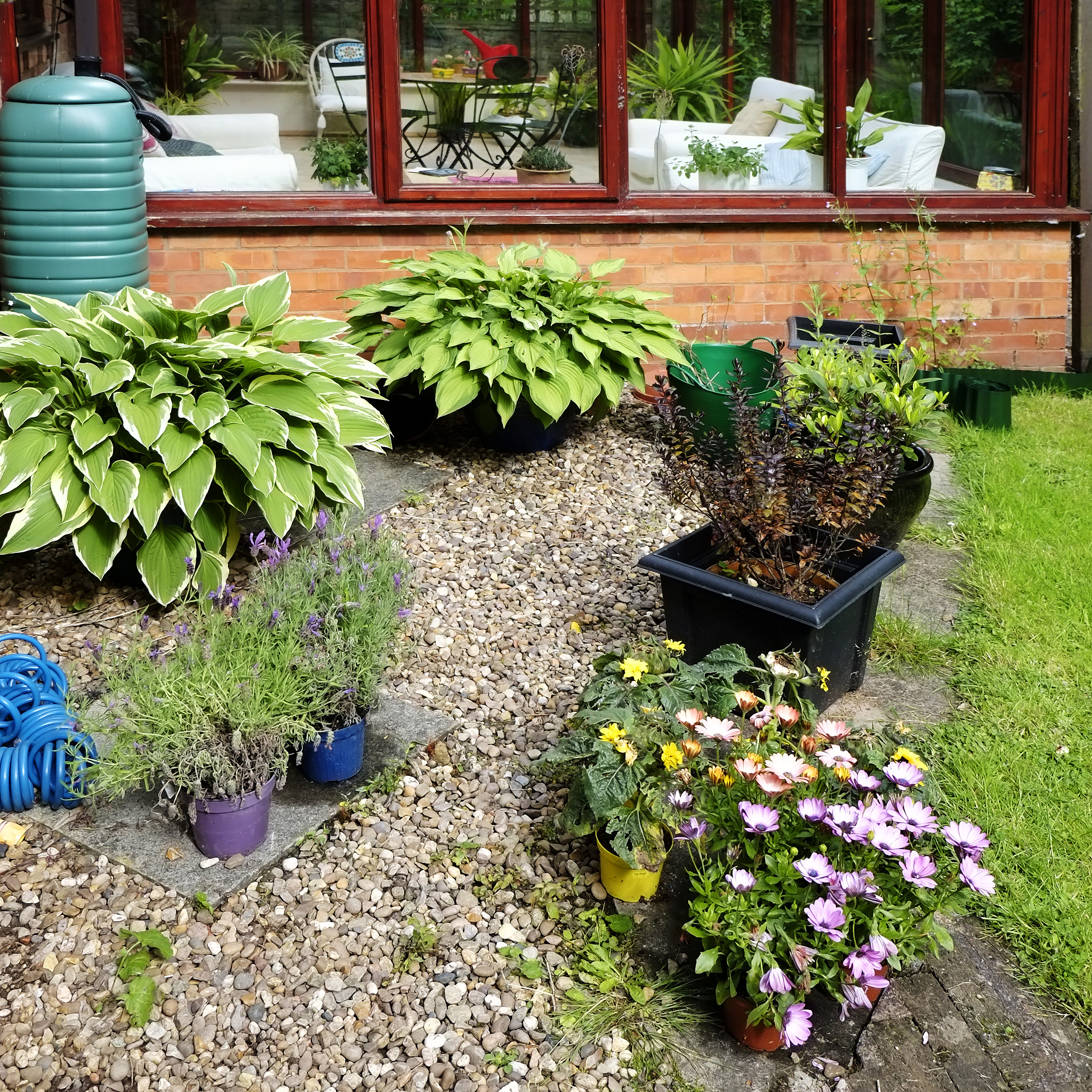 HORTICULTURE ENVIRONMENT AND BIOTECHNOLOGY - 国际园艺、环境和生物技术期刊