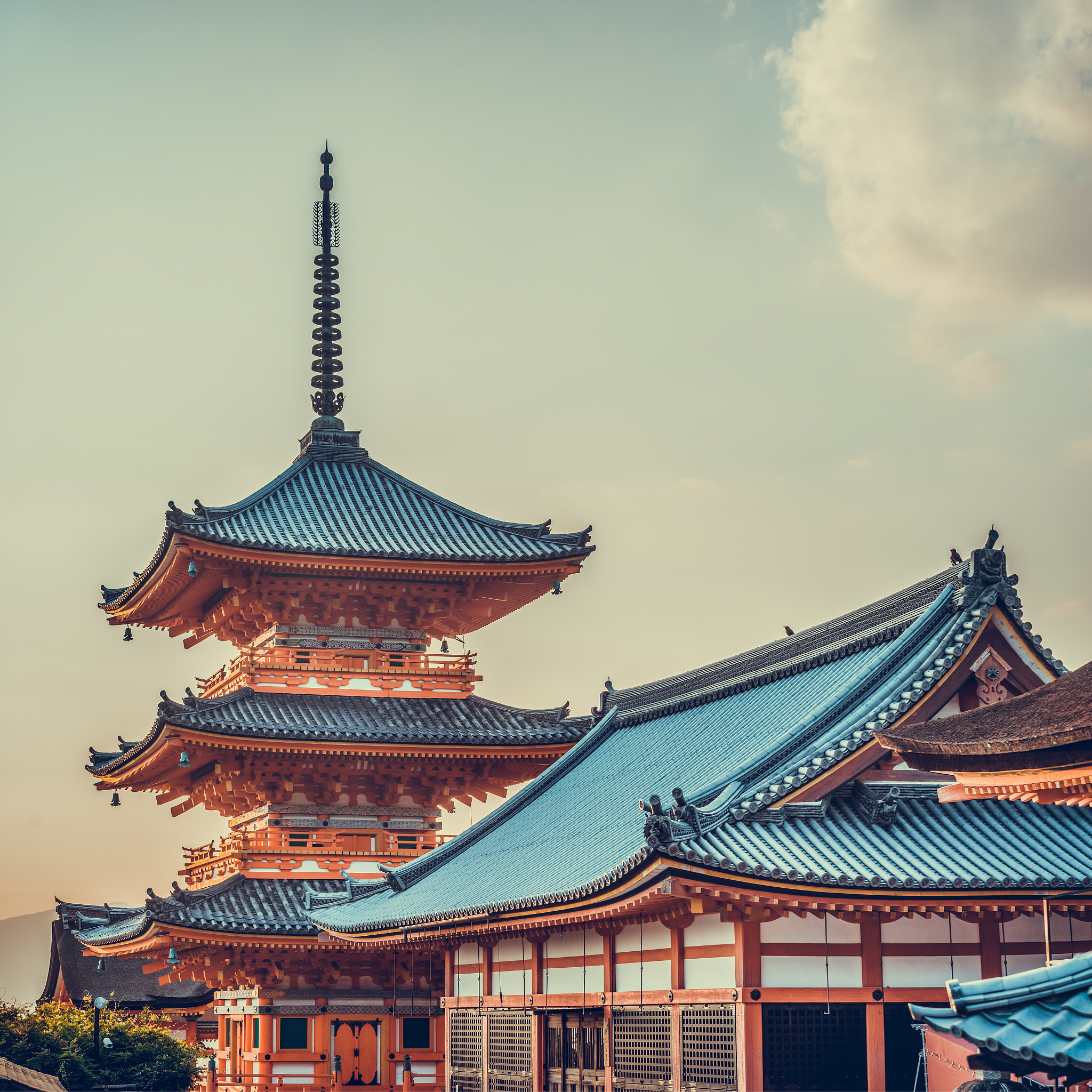 京都古寺探秘：龙安寺、金阁寺、建仁寺、东寺、清水寺深度游记