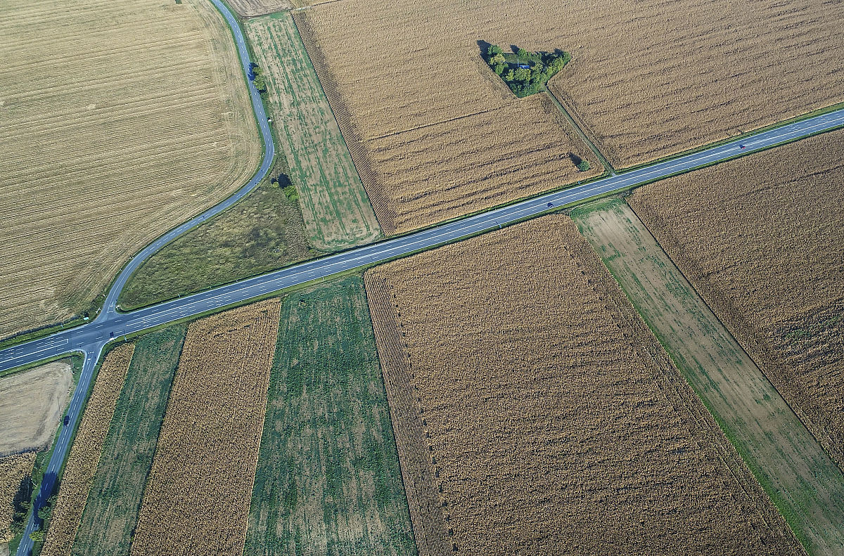 杨凌职业技术学院植物保护与检疫技术专业好不好？介绍