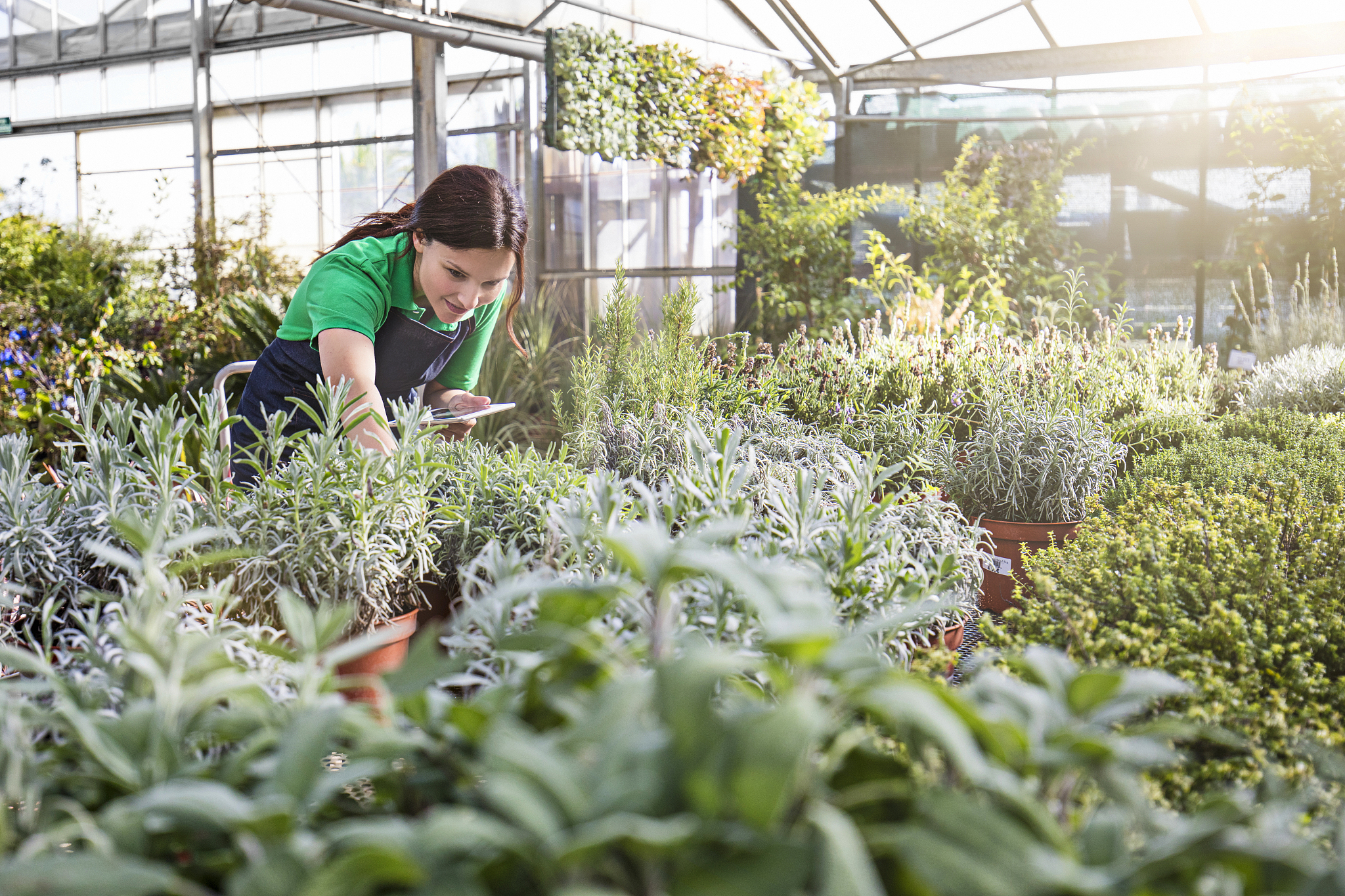 贞丰县职业技术学校设施农业生产技术专业好不好学呢开设了哪些课程