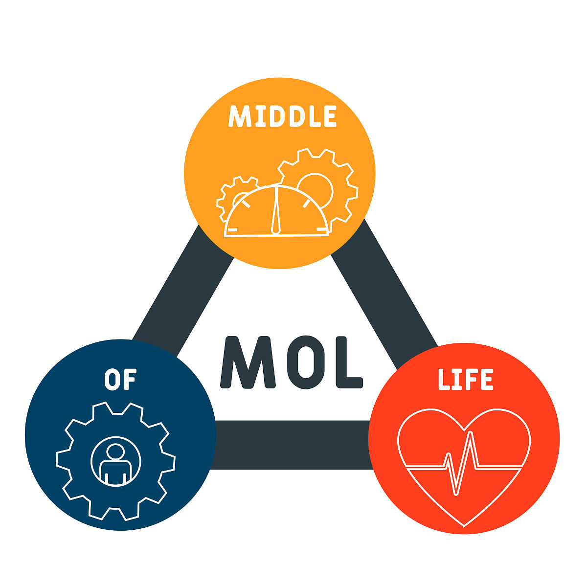 mol - middle of life首字母缩写