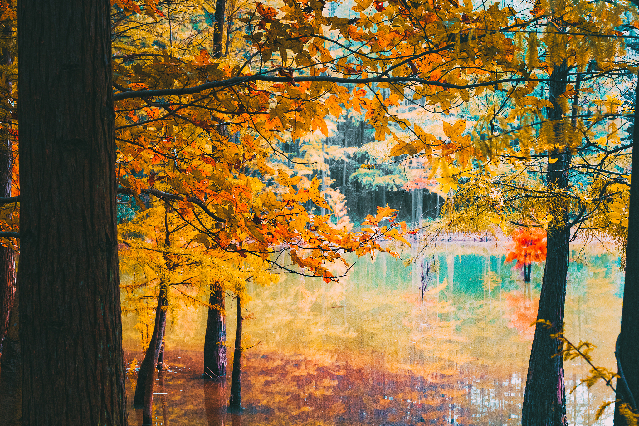 秋天的魅力：享受大自然的美好与收获