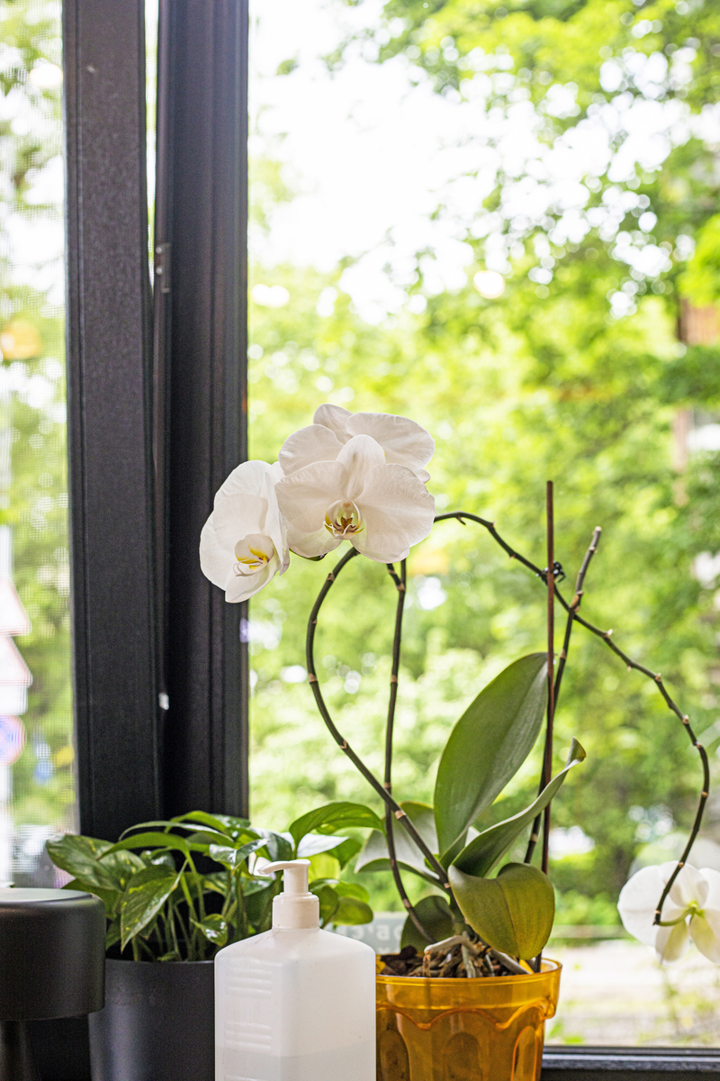 窗前不衰颓：勇敢面对生活挑战