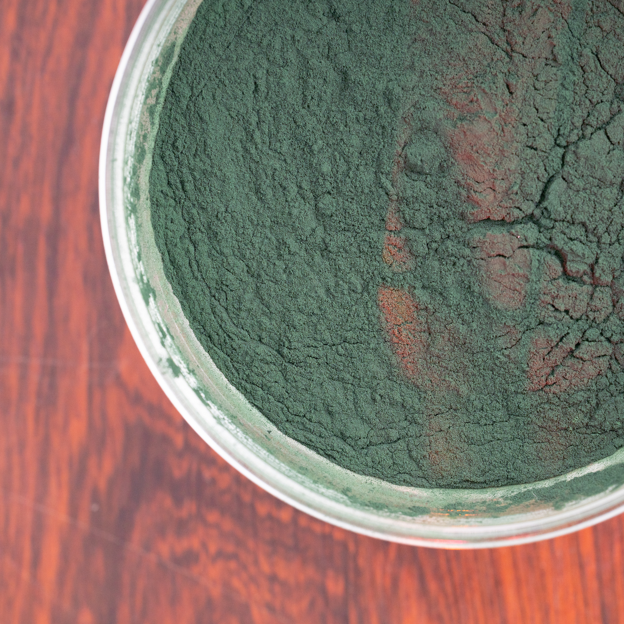 医学营养专业介绍用发散性思维