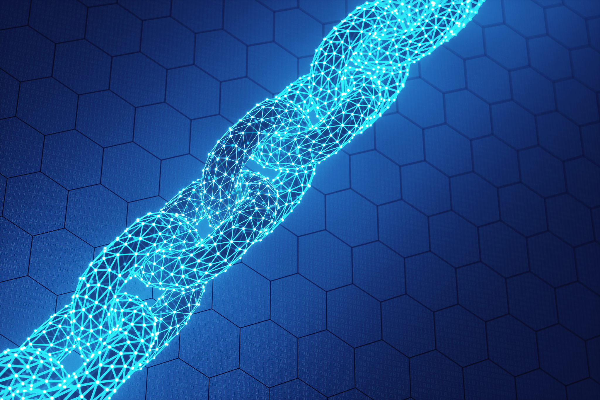 石家庄2023年计算机学校里面有什么专业