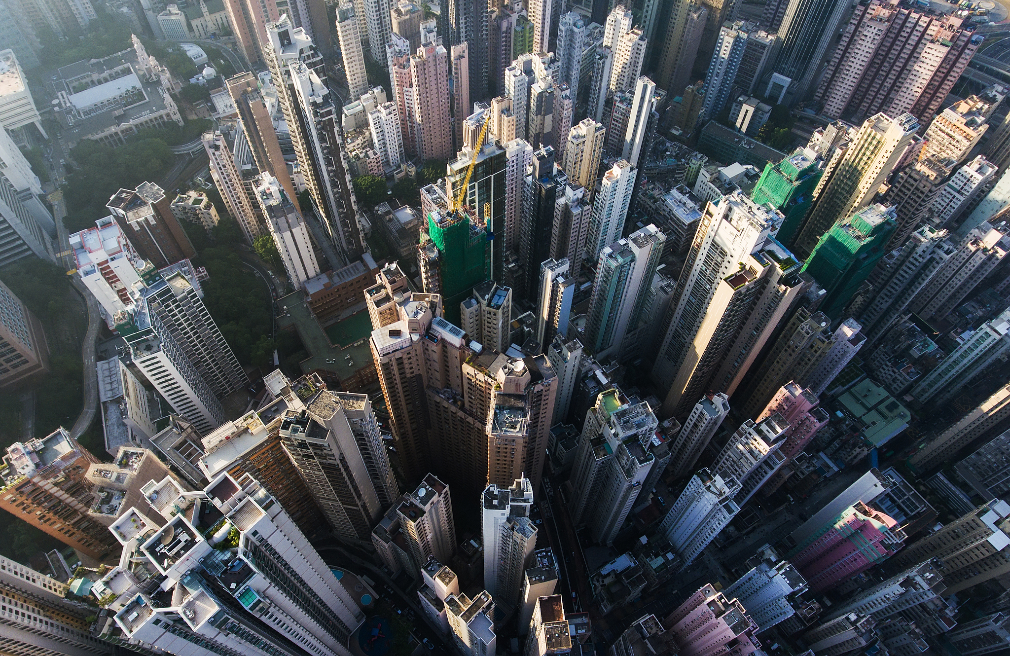 园林技术专业发展前景：未来趋势与就业方向