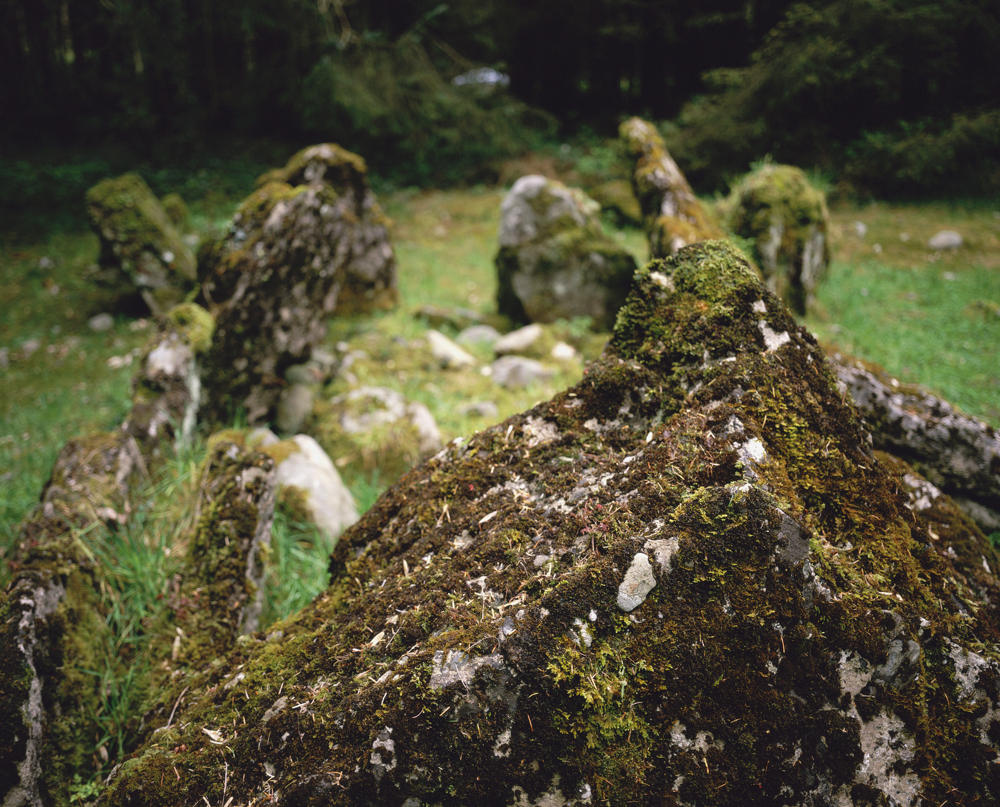 请帮忙改写下这句话：因此缺乏规模较小且重复燃烧的普通苔原火灾观测数据极大地限制了我们对野火对苔原生态系统有机土壤的长期影响的科学认识。