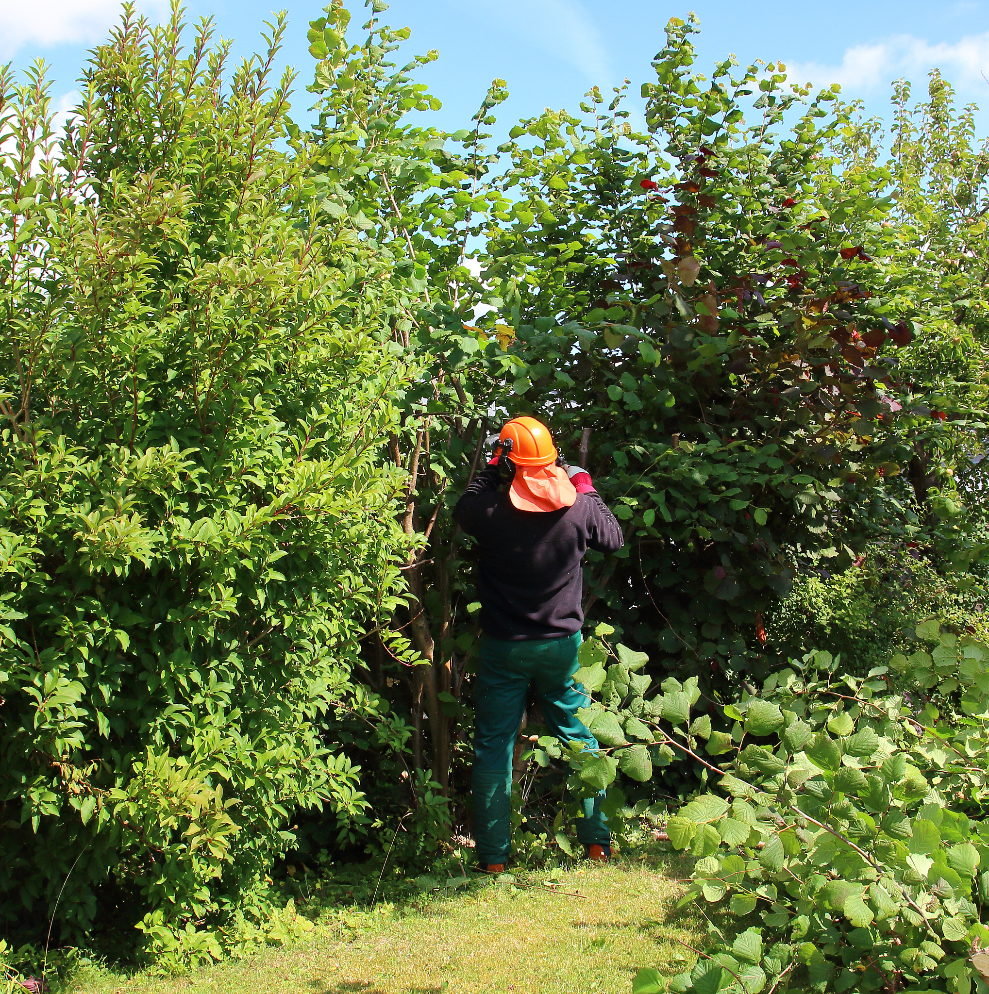 辽宁职业学院园艺技术专业可以选择哪些就业方向