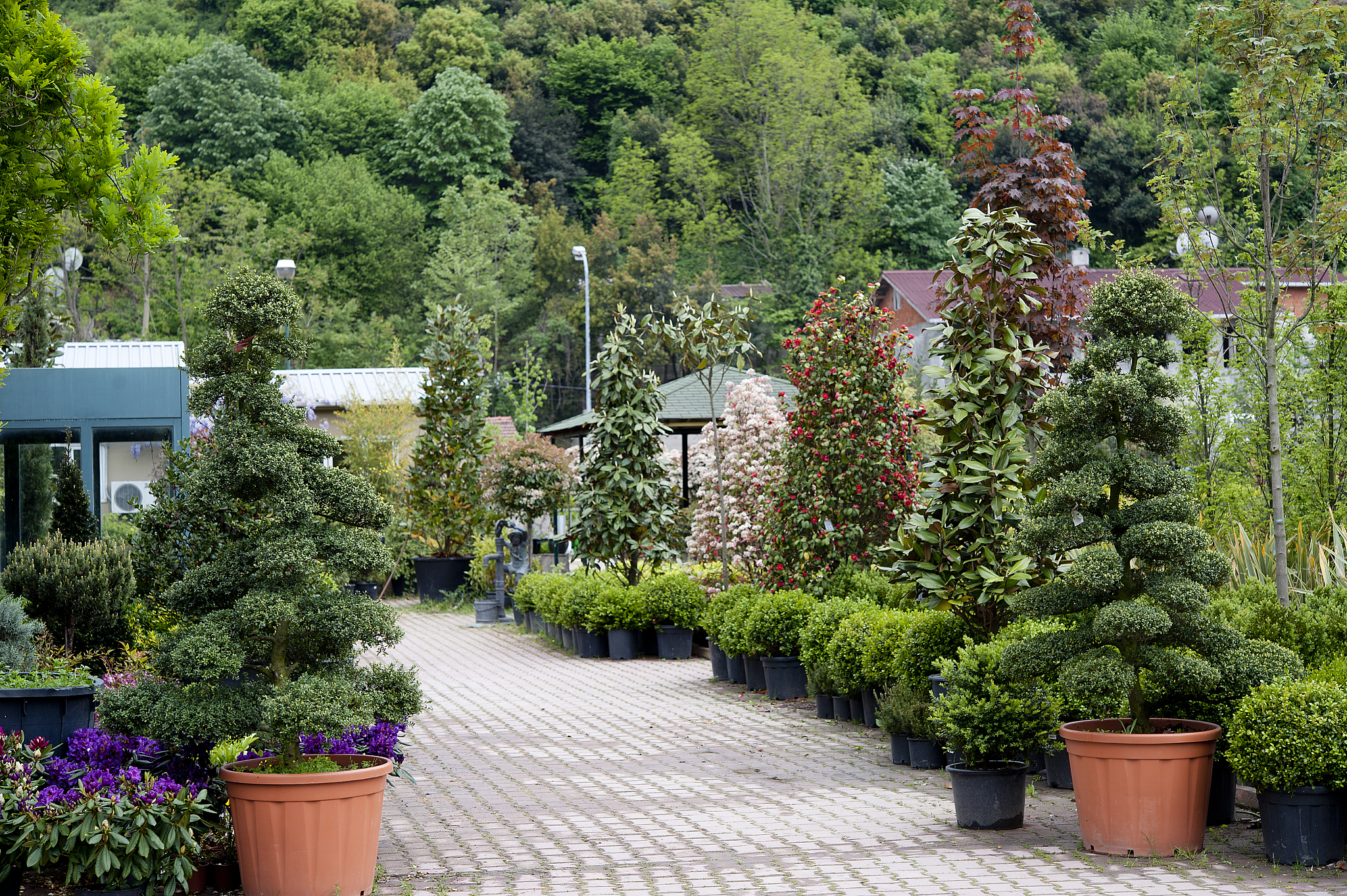 黑龙江农业职业技术学院园林技术专业学什么？课程设置及就业前景